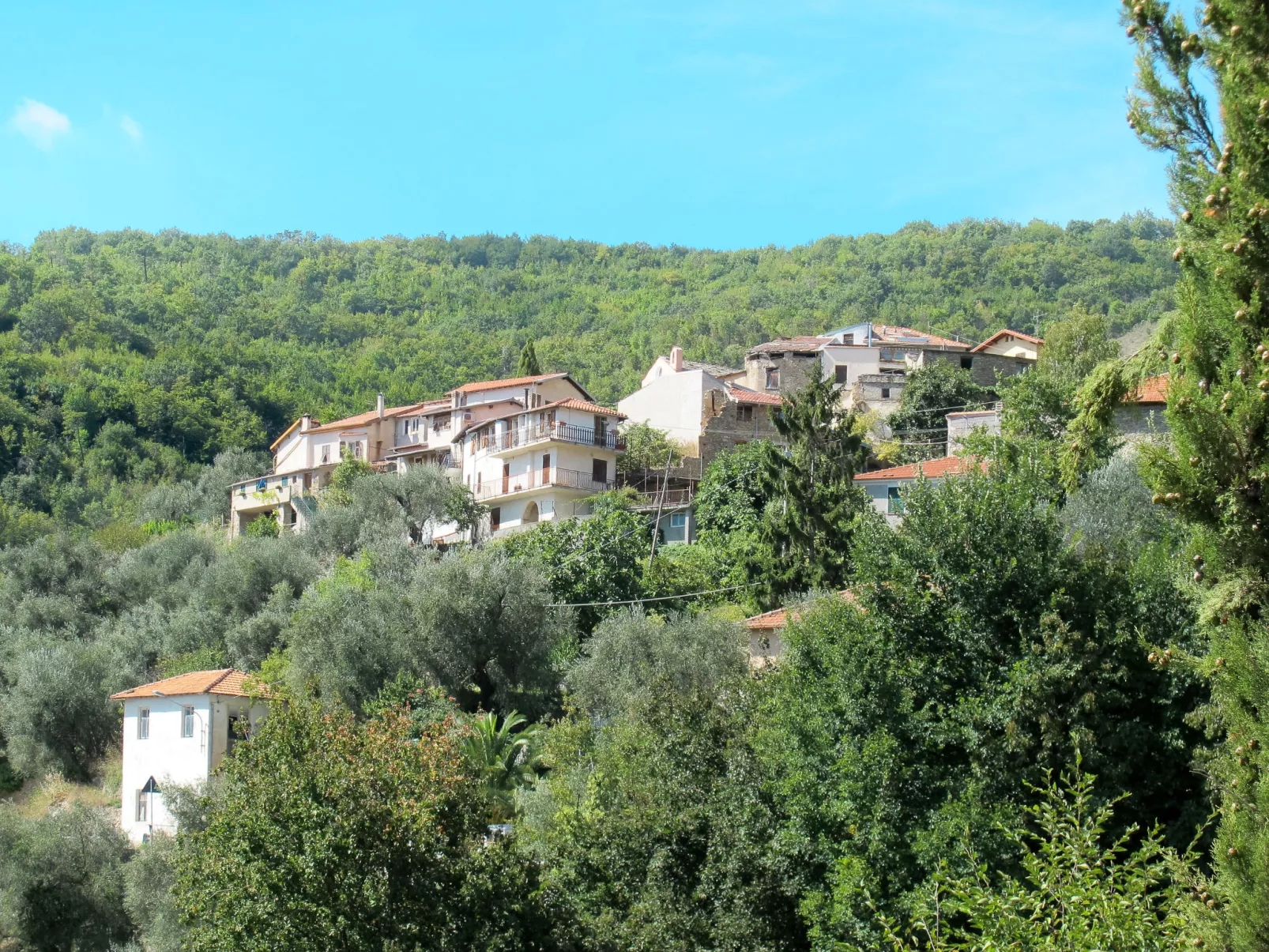 Daniele-Area