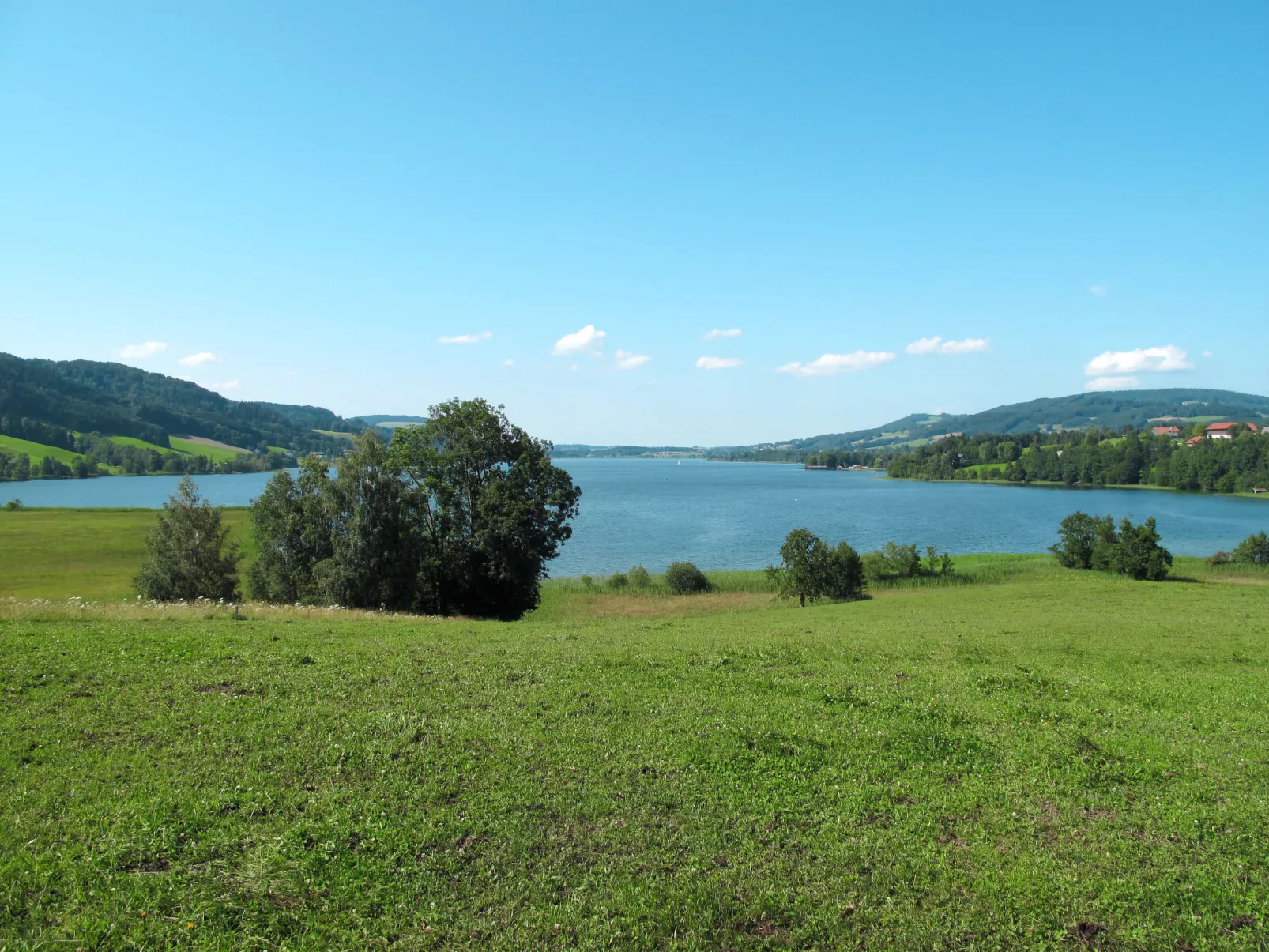 Mayrhofer-Area