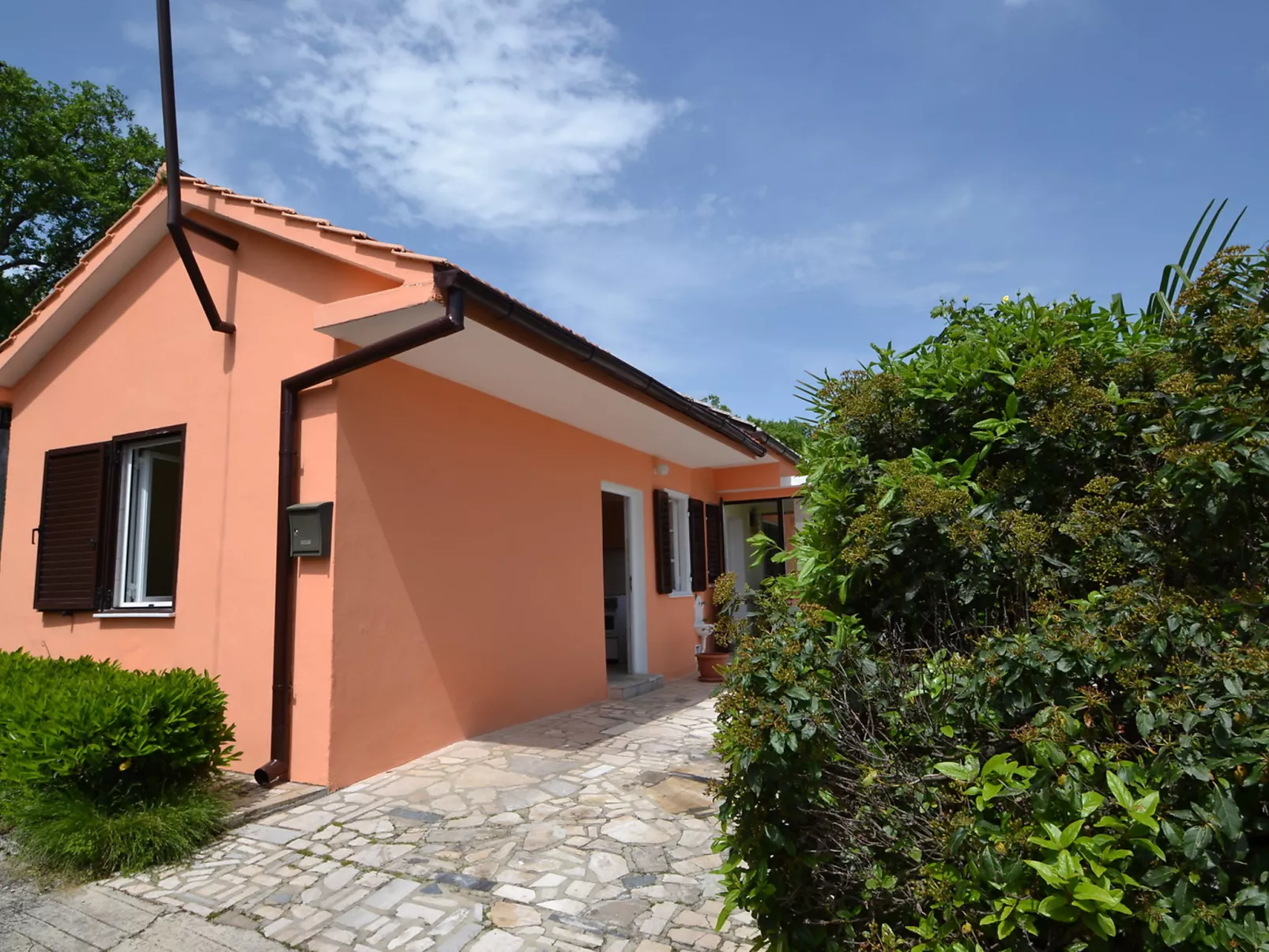 Franjo-Dehors