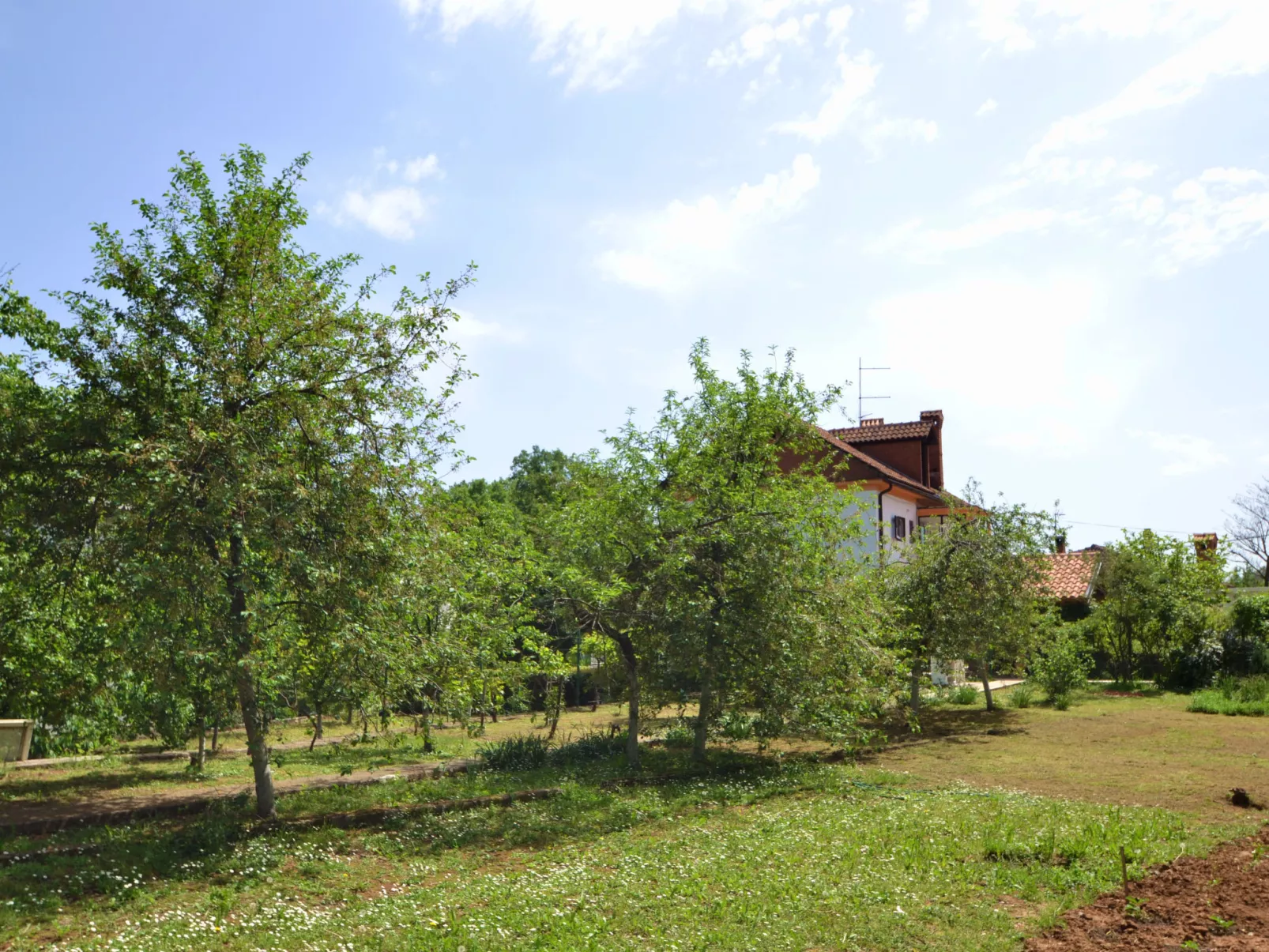 Franjo-Dehors