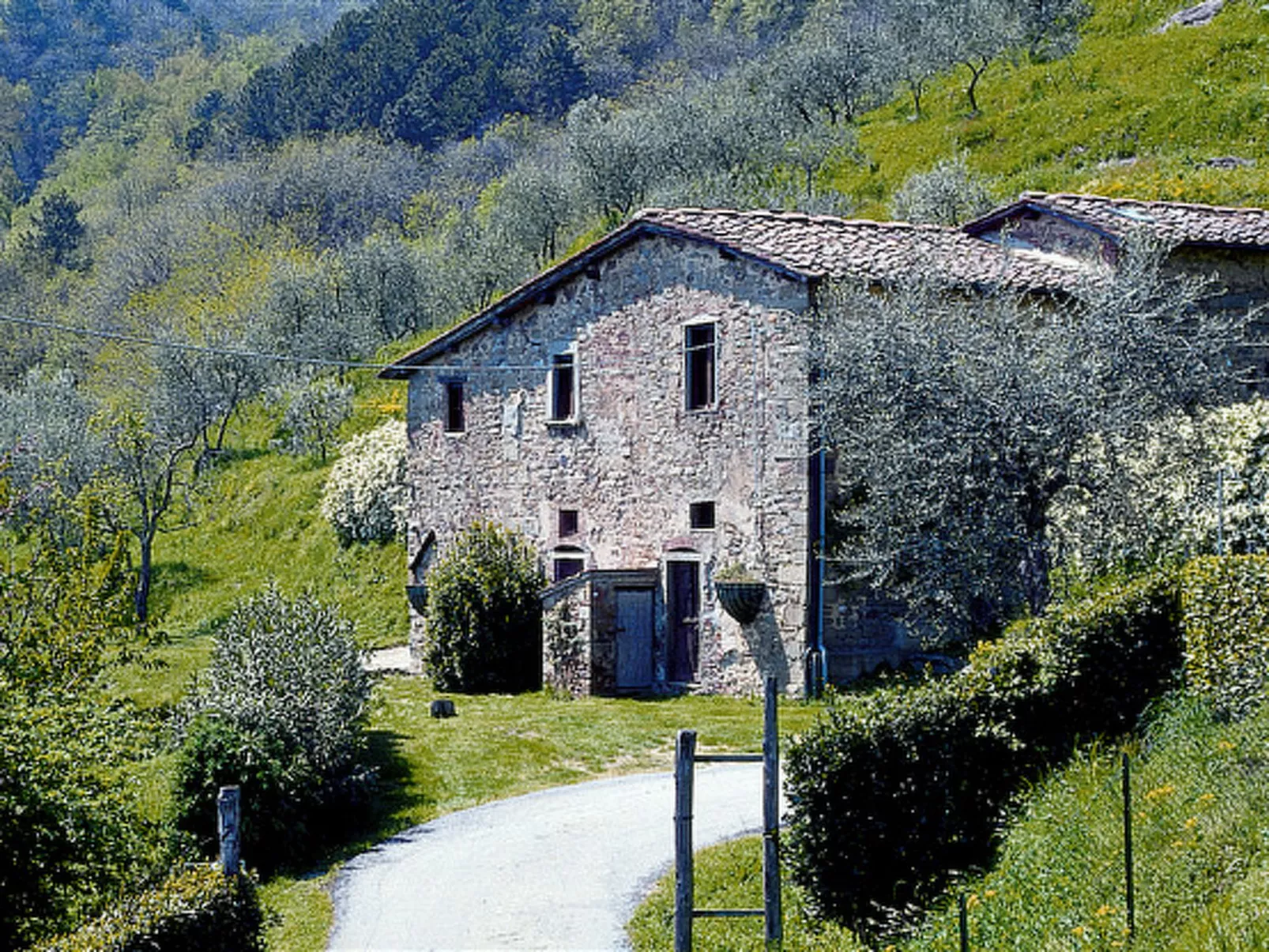 Podere Zano-Draußen