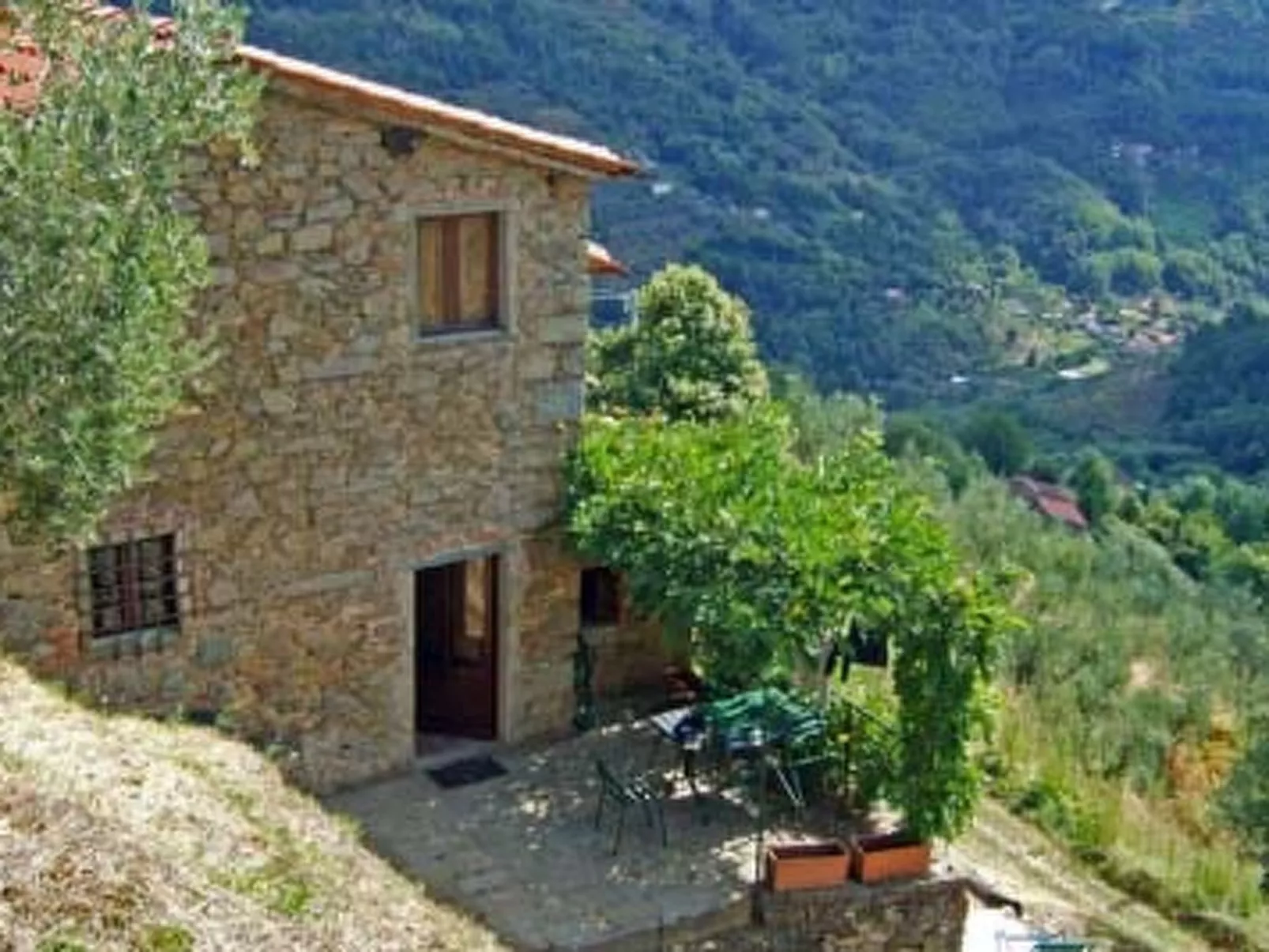 Podere Cima a Zano / Apt.Alfiero-Outside