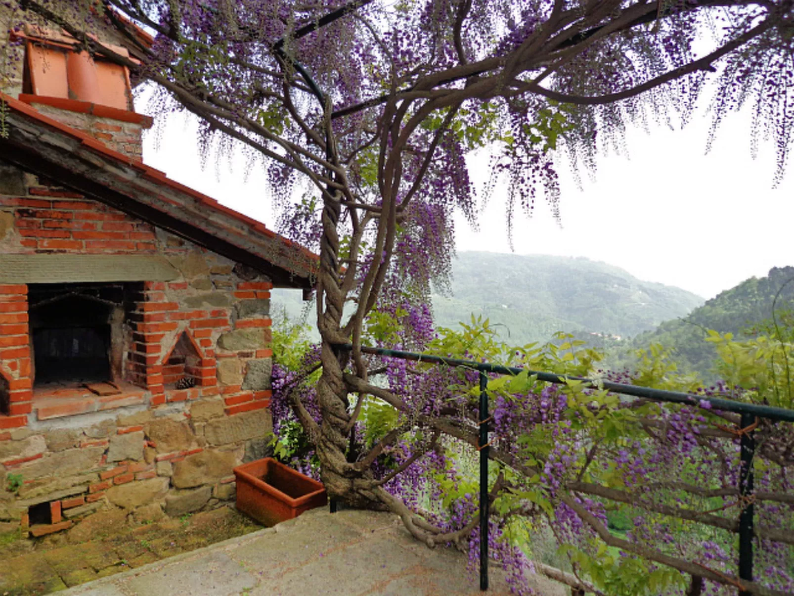 Podere Cima a Zano / Apt.Alfiero-Outside