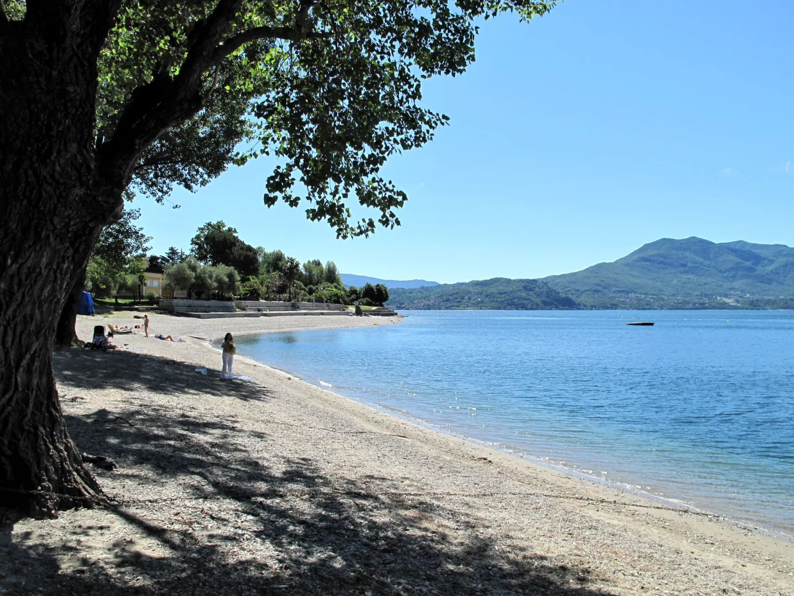 Nicol-Area