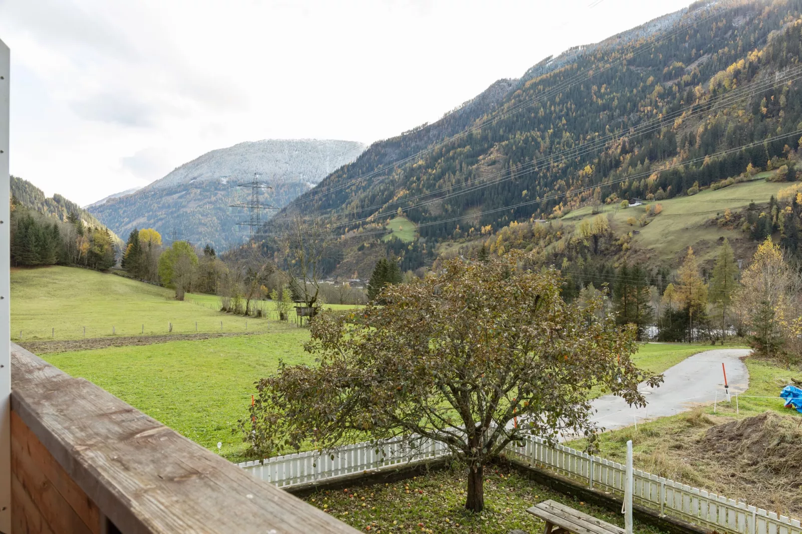 Angerer-View summer
