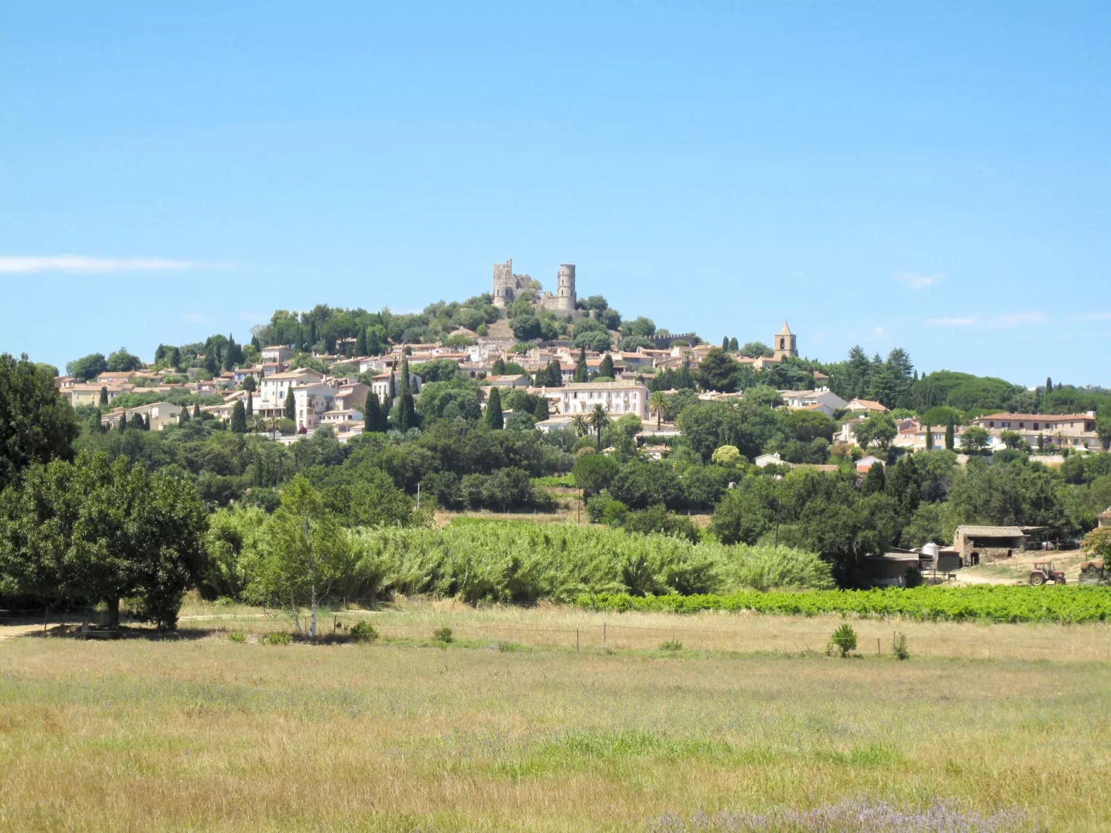 Les Mûres mûres-Area