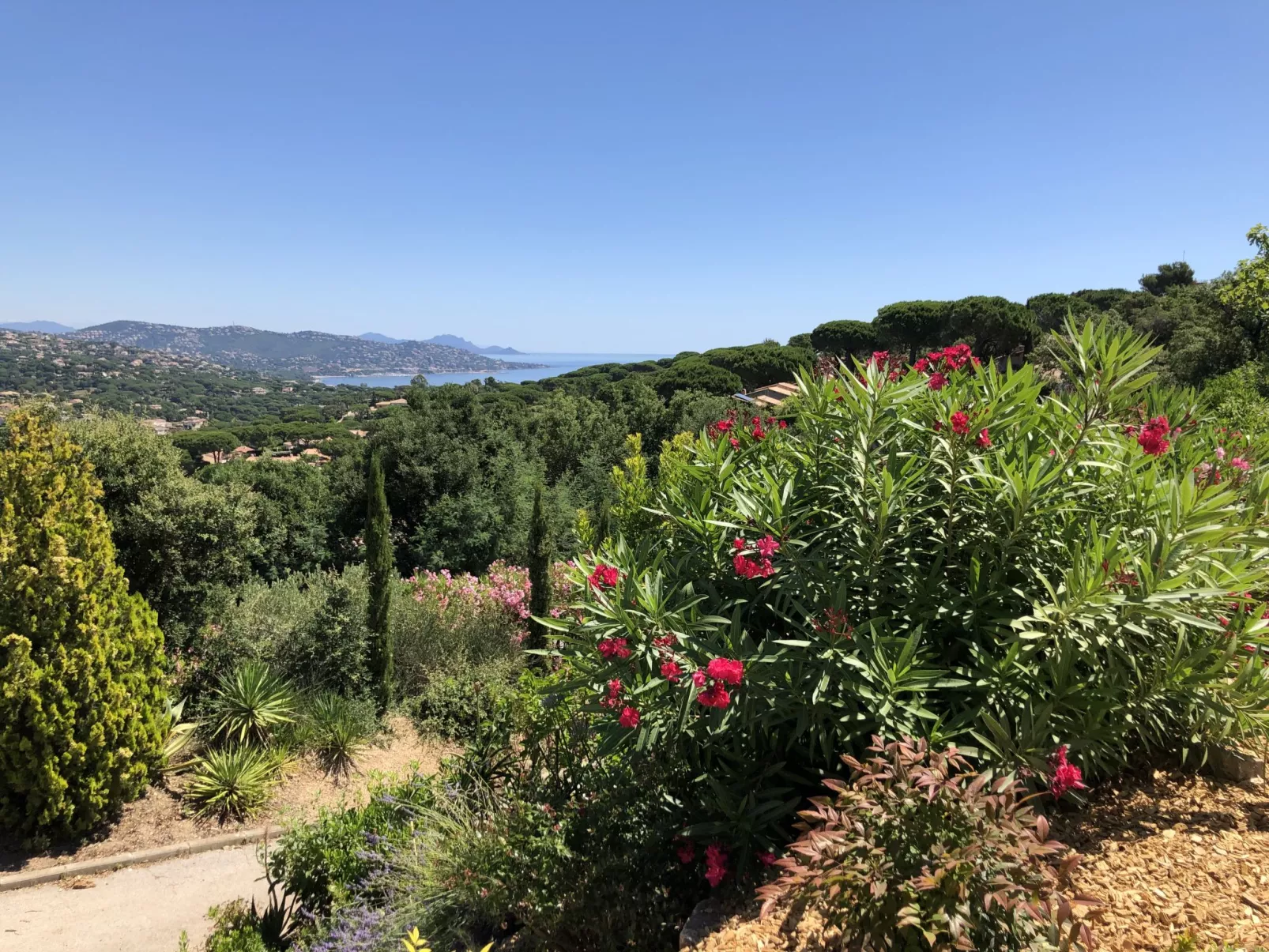 La Canopée-Outside