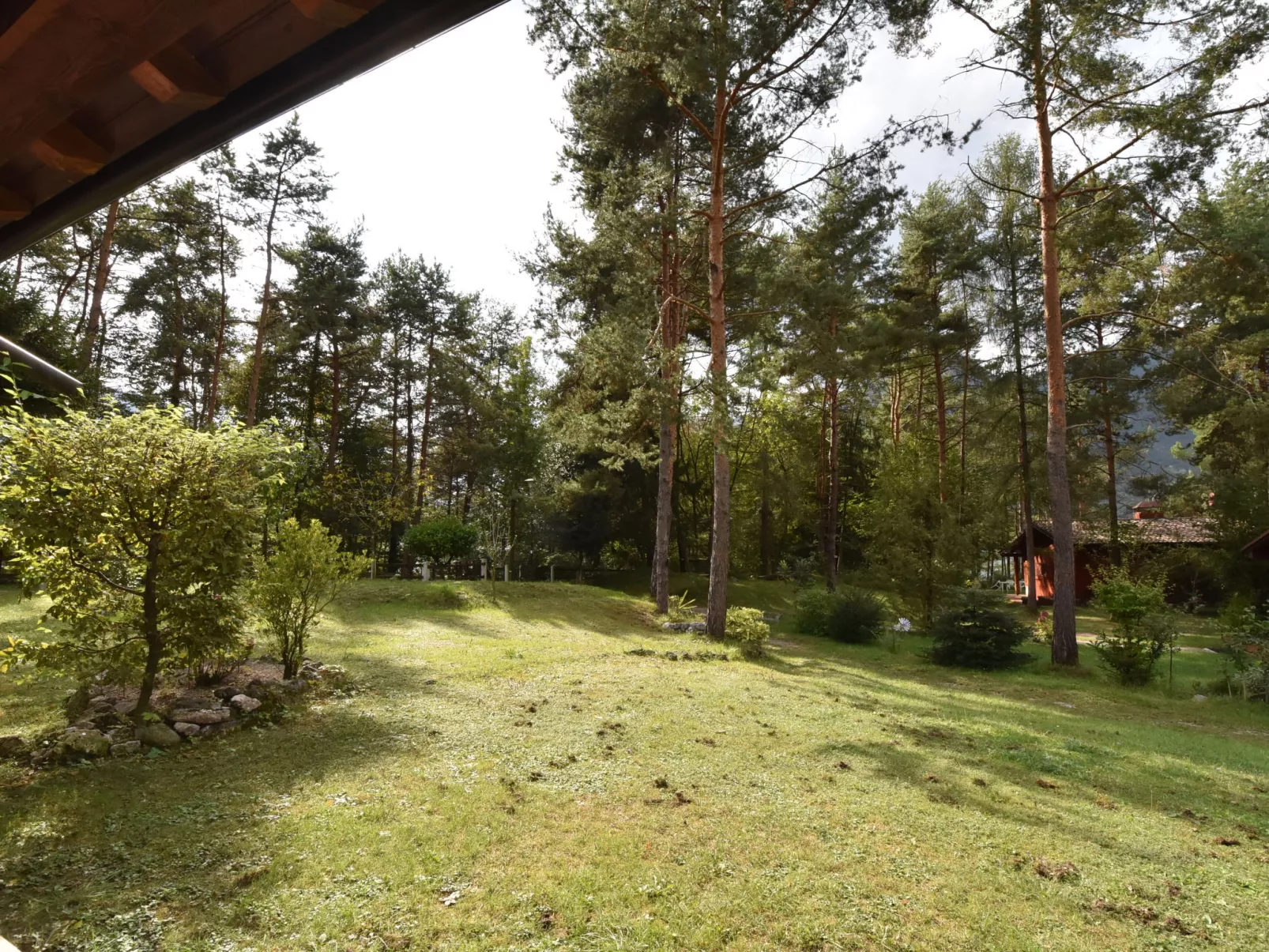 Villa Pineta-Outside