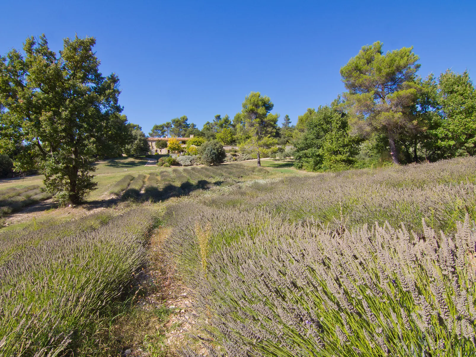 Domaine de Piegros-Outside