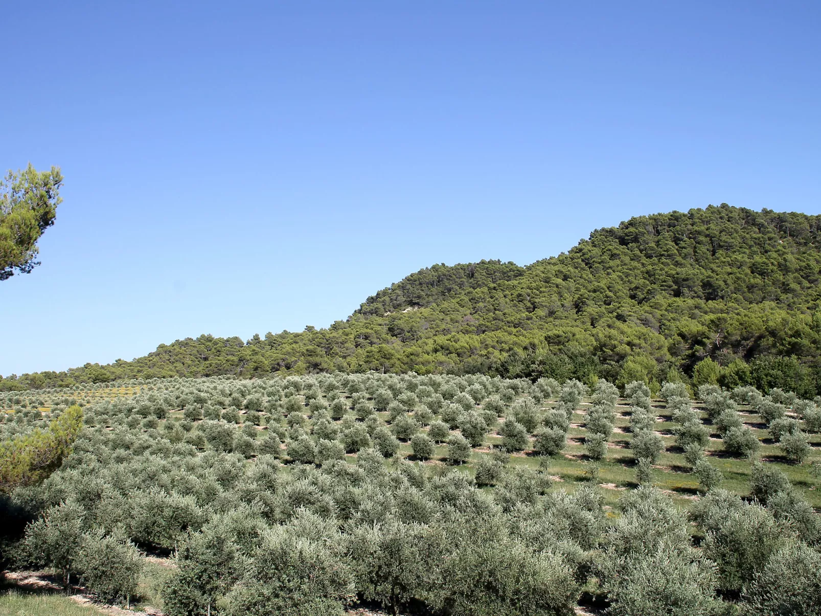 Domaine de Piegros-Outside