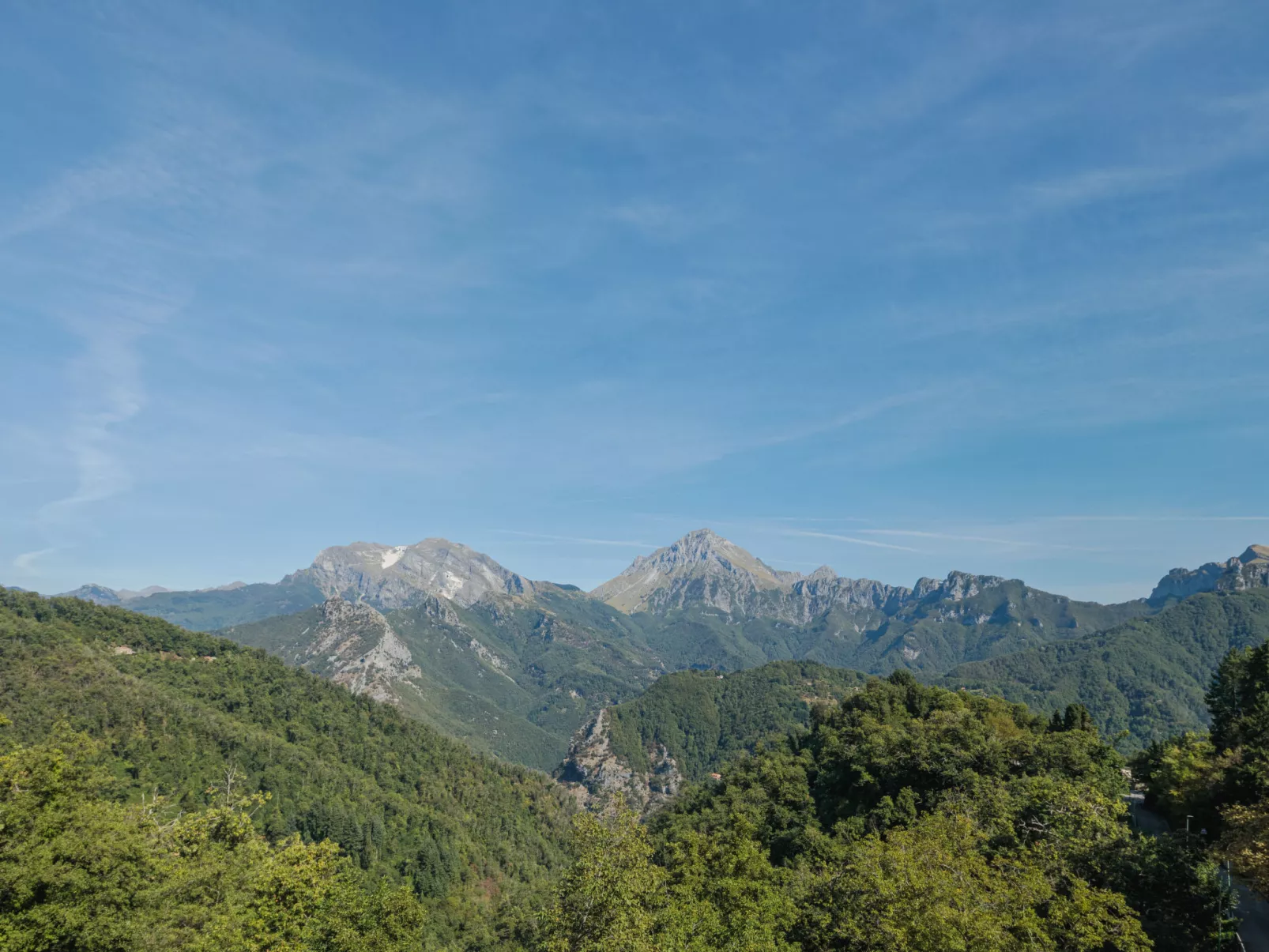 Serenella-Area