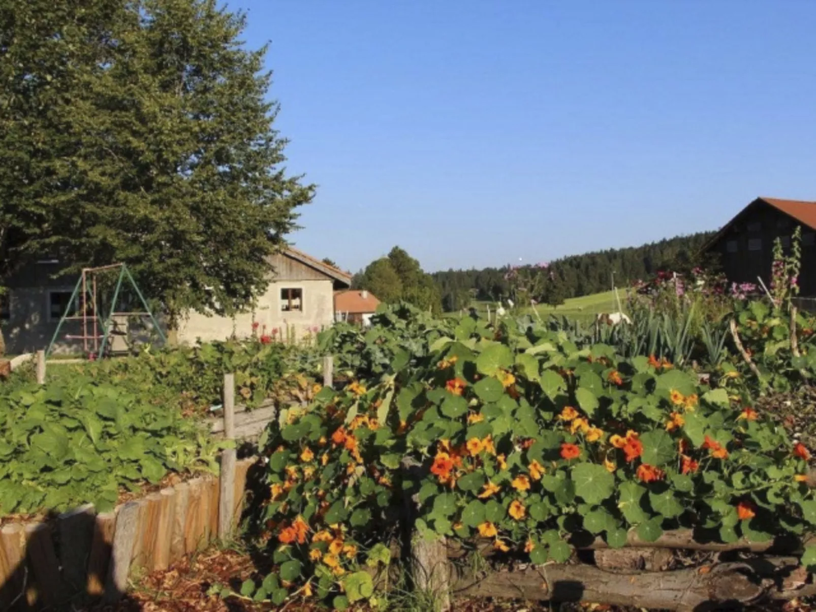 Maison de vacances - Les Hirondelles-Outside