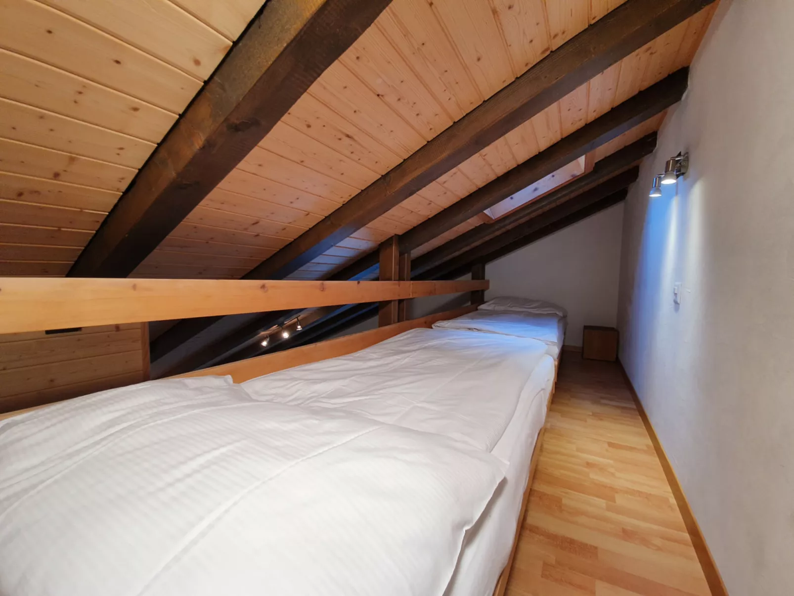 Bergdohle-Inside