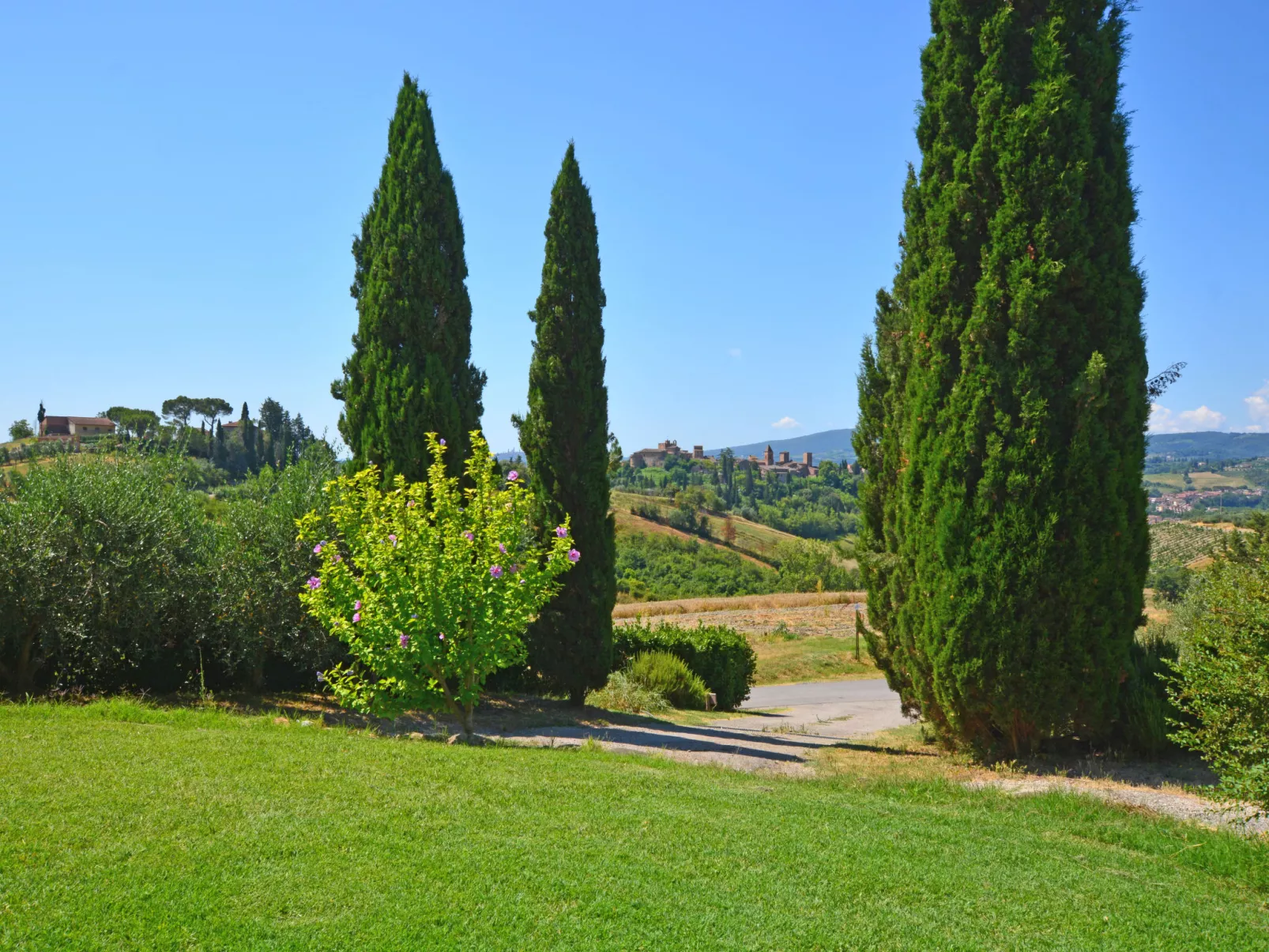 Podere La Torre-Outside