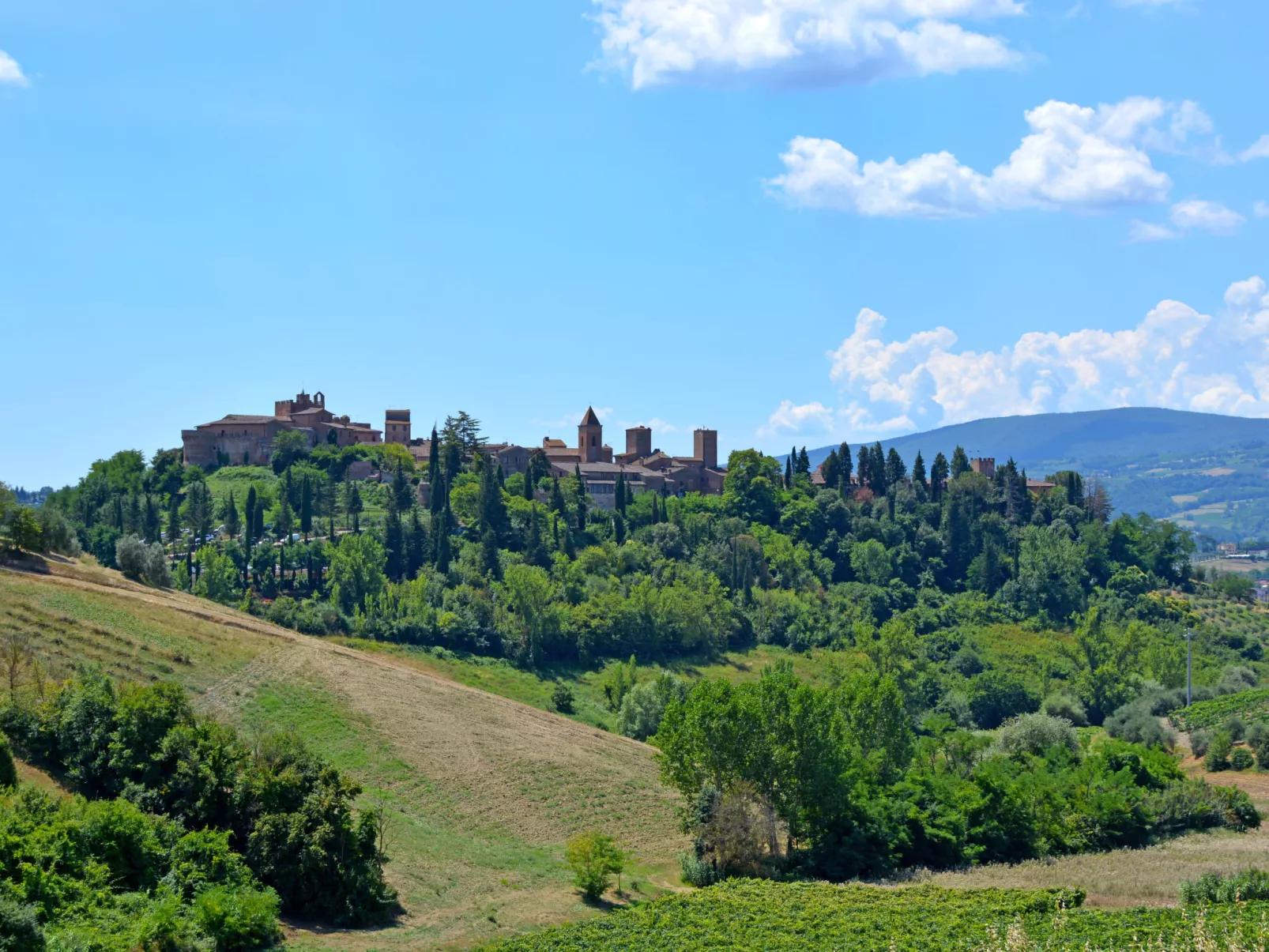 Podere La Torre-Outside