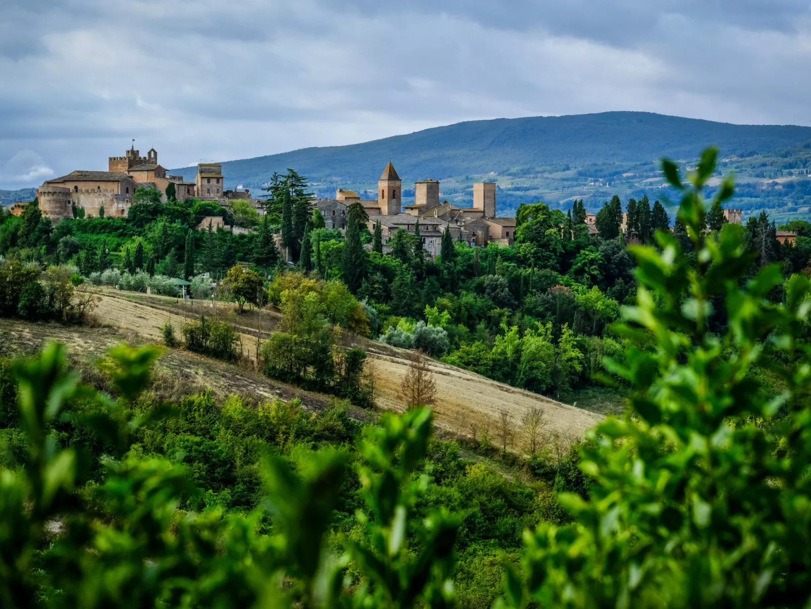Podere La Torre-Outside
