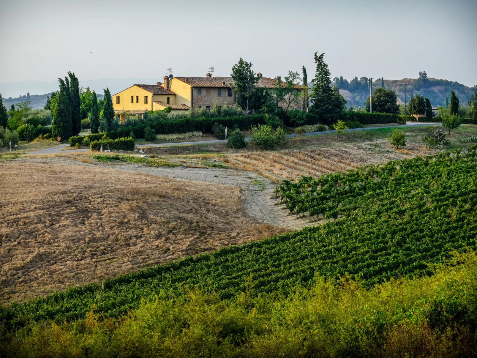 Podere La Torre-Outside