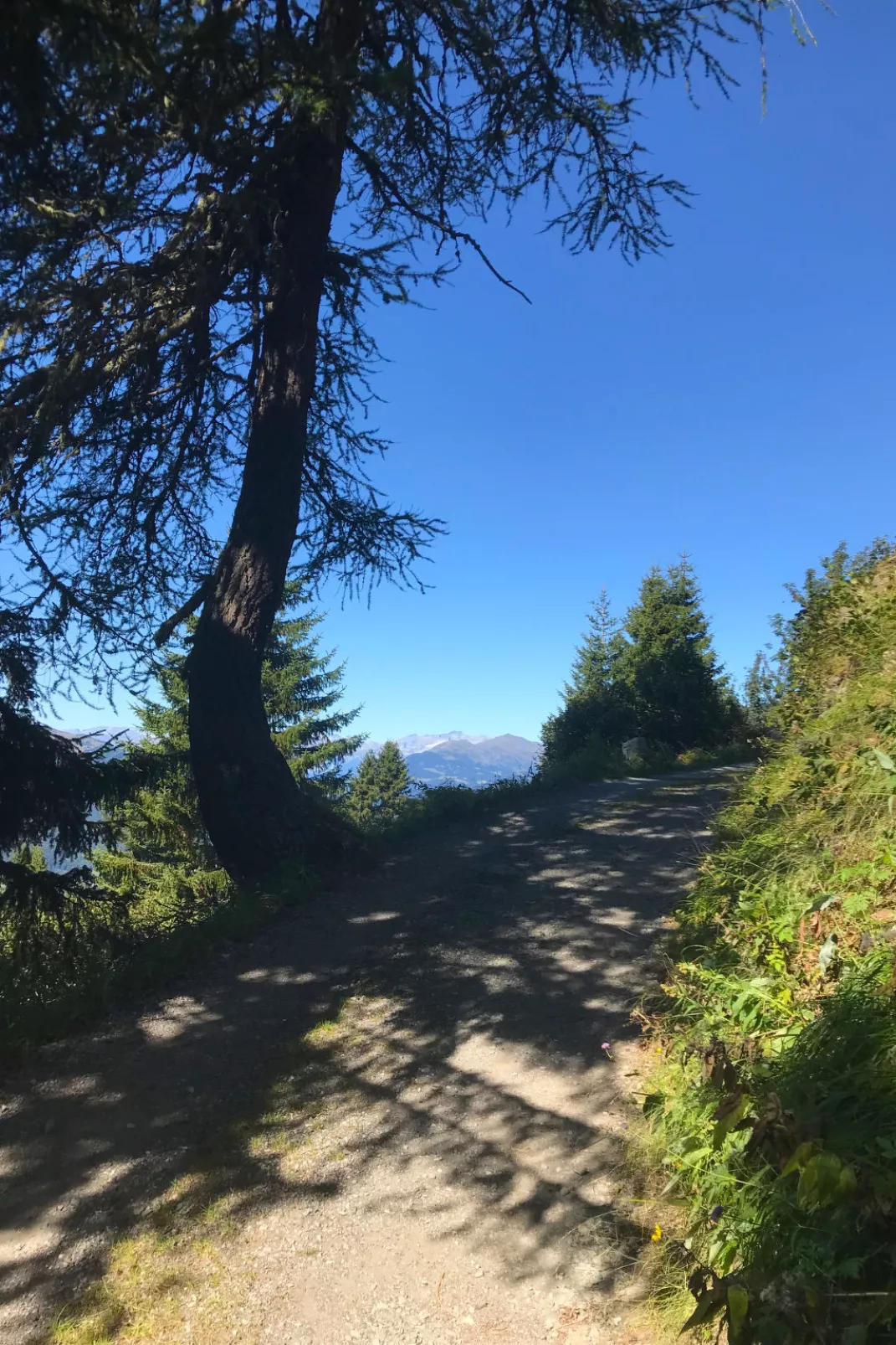 Sur Baselgia-Drinnen