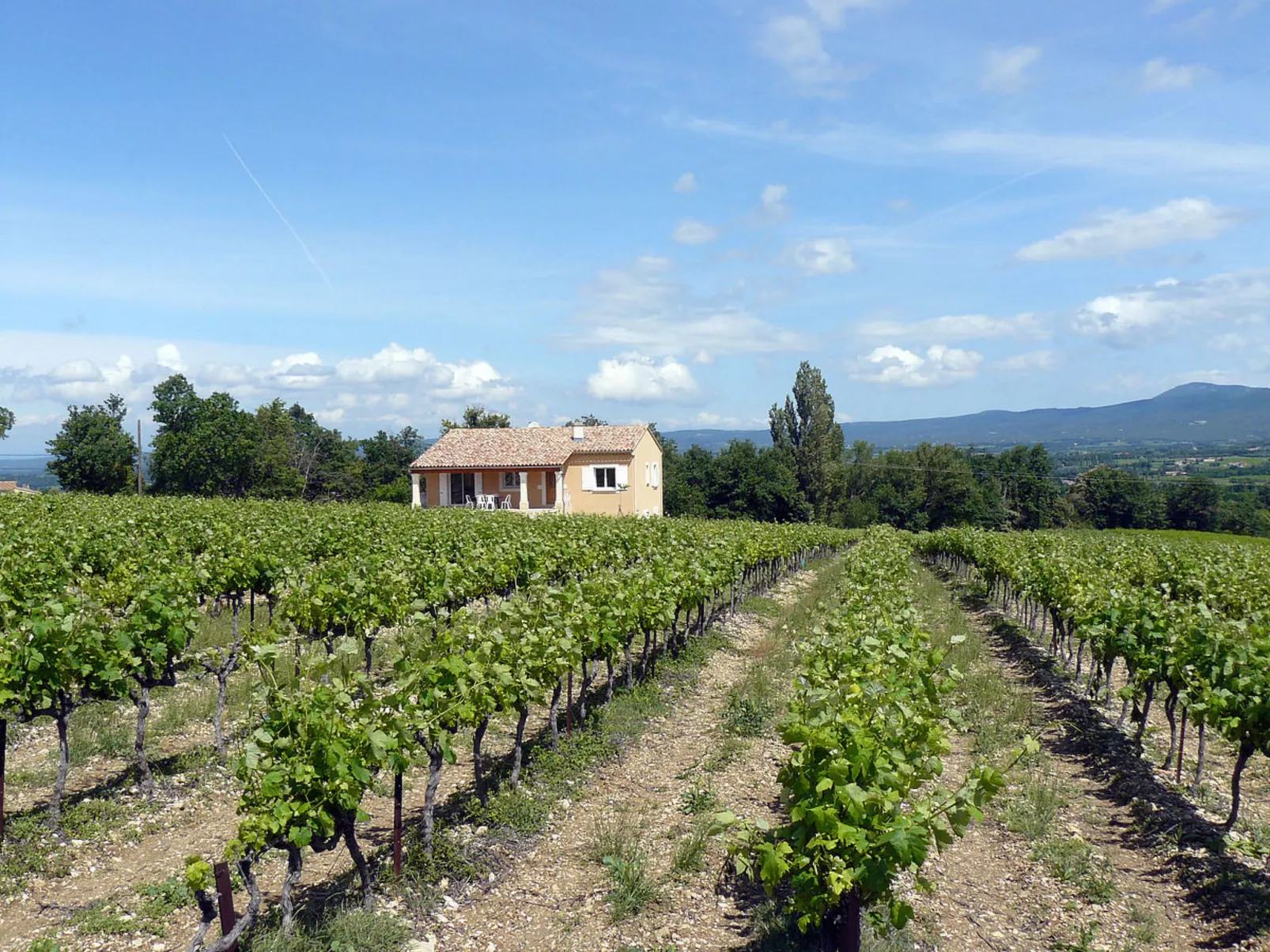 Les Lilas Blancs-Outside