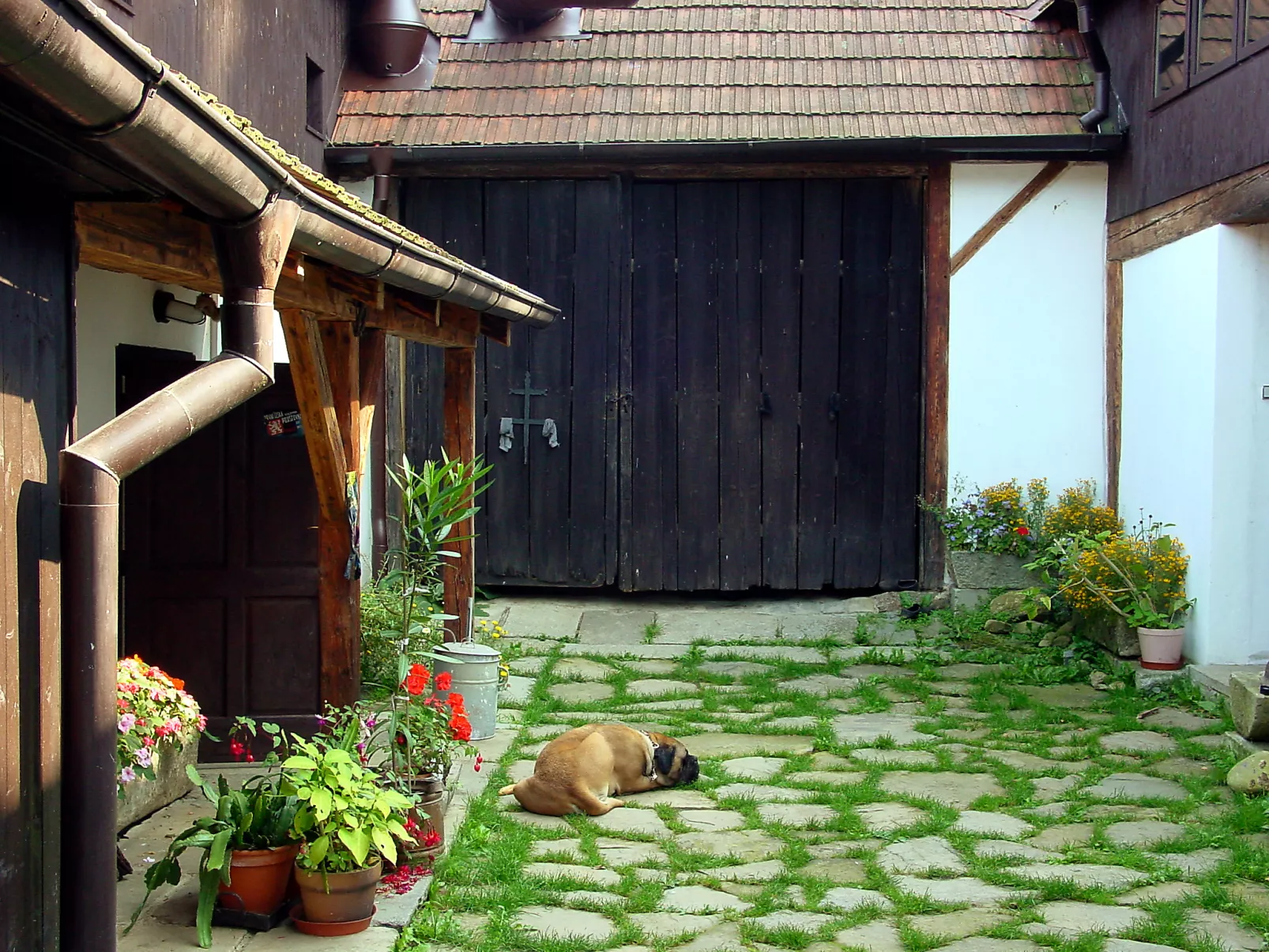 Benešov nad Černou-Outside