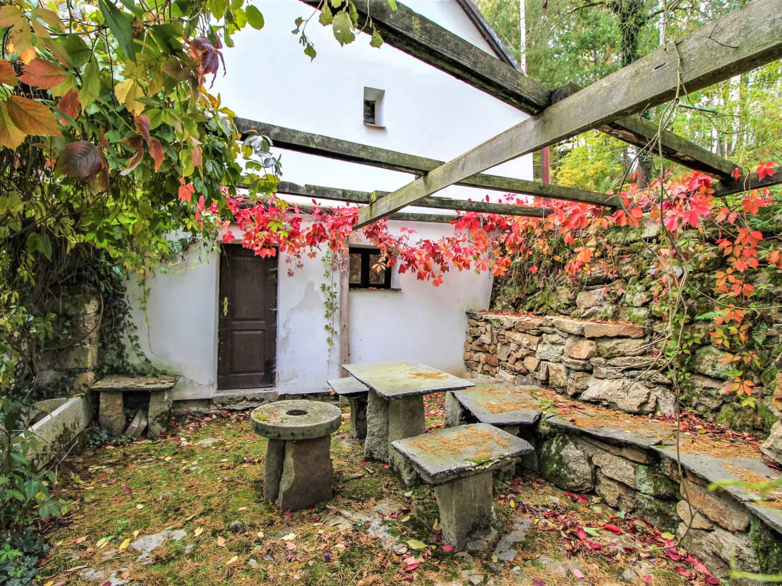 Benešov nad Černou-Outside
