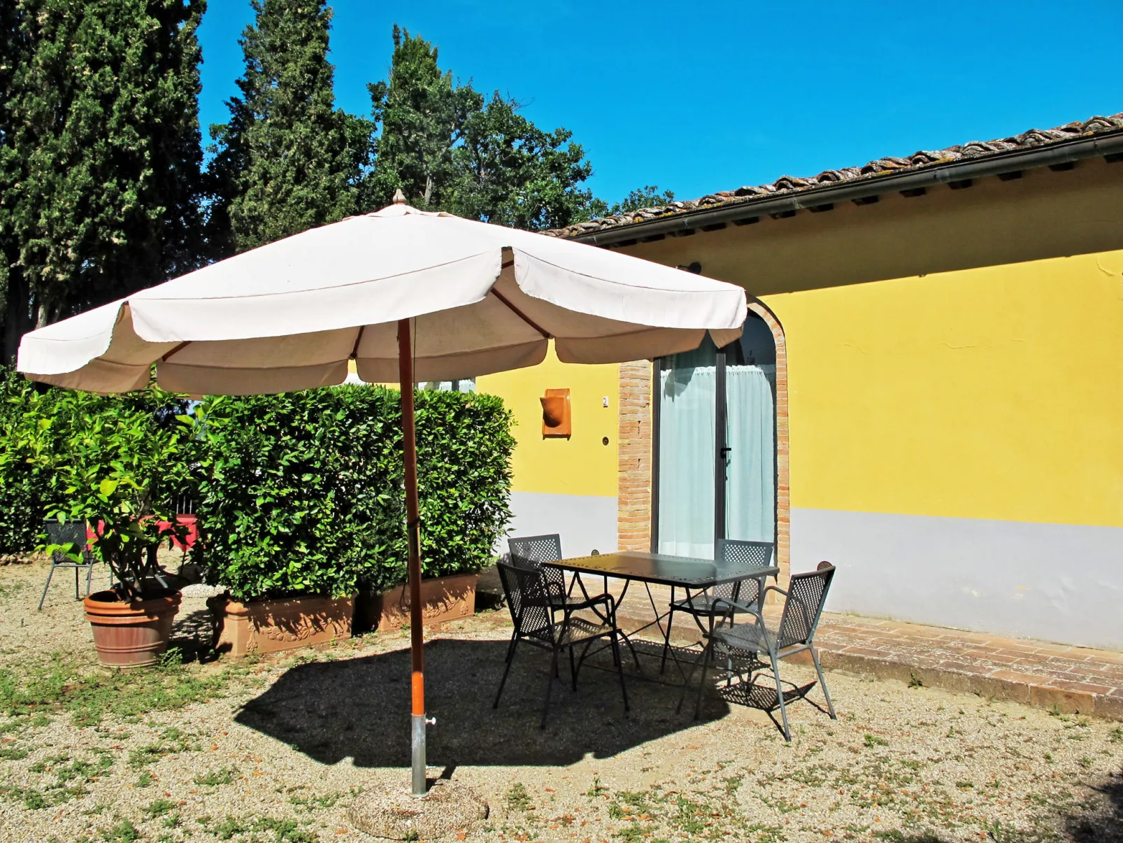 Giuggiolo - Giuggioli 1