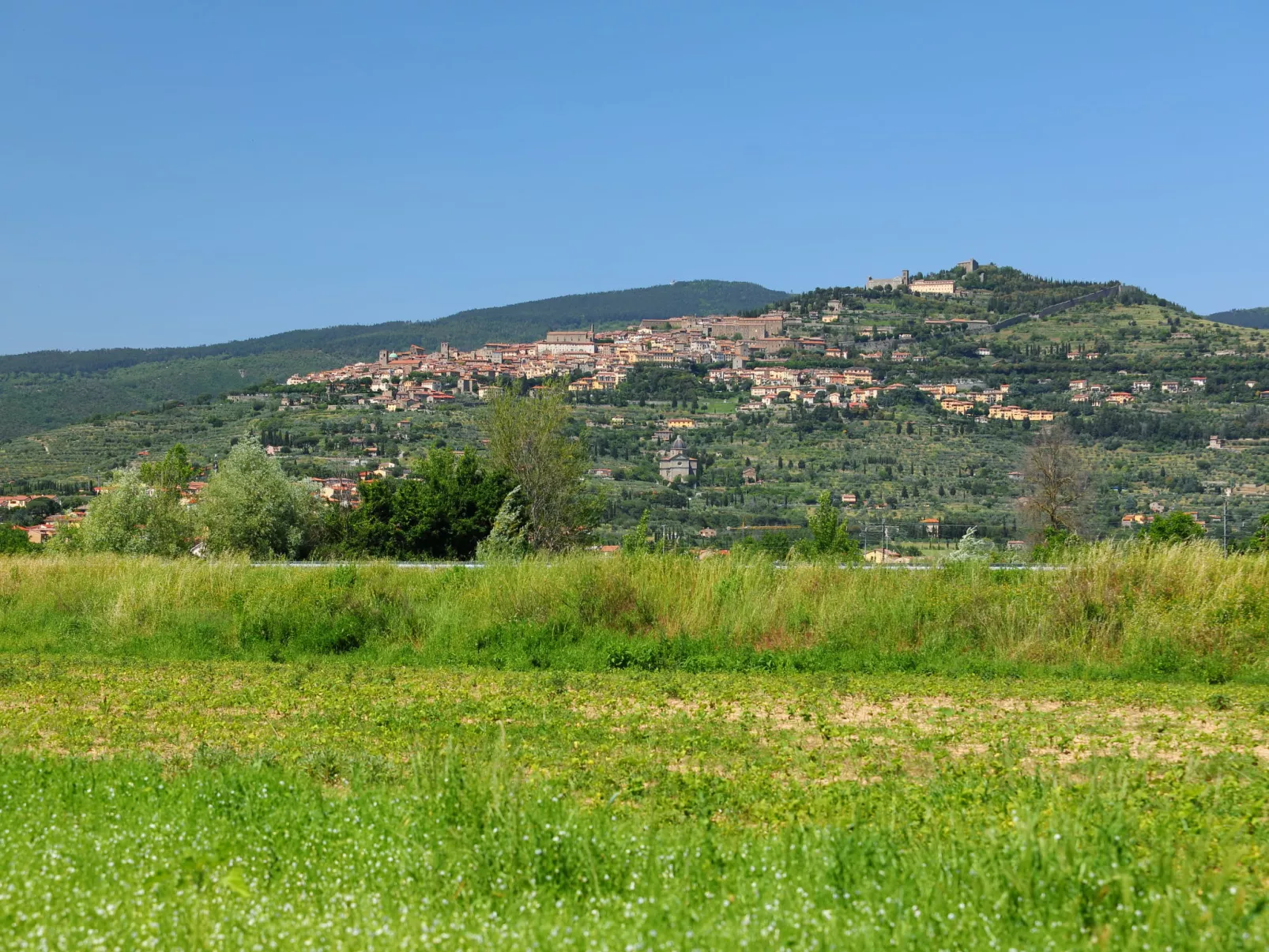 Martina-Dehors