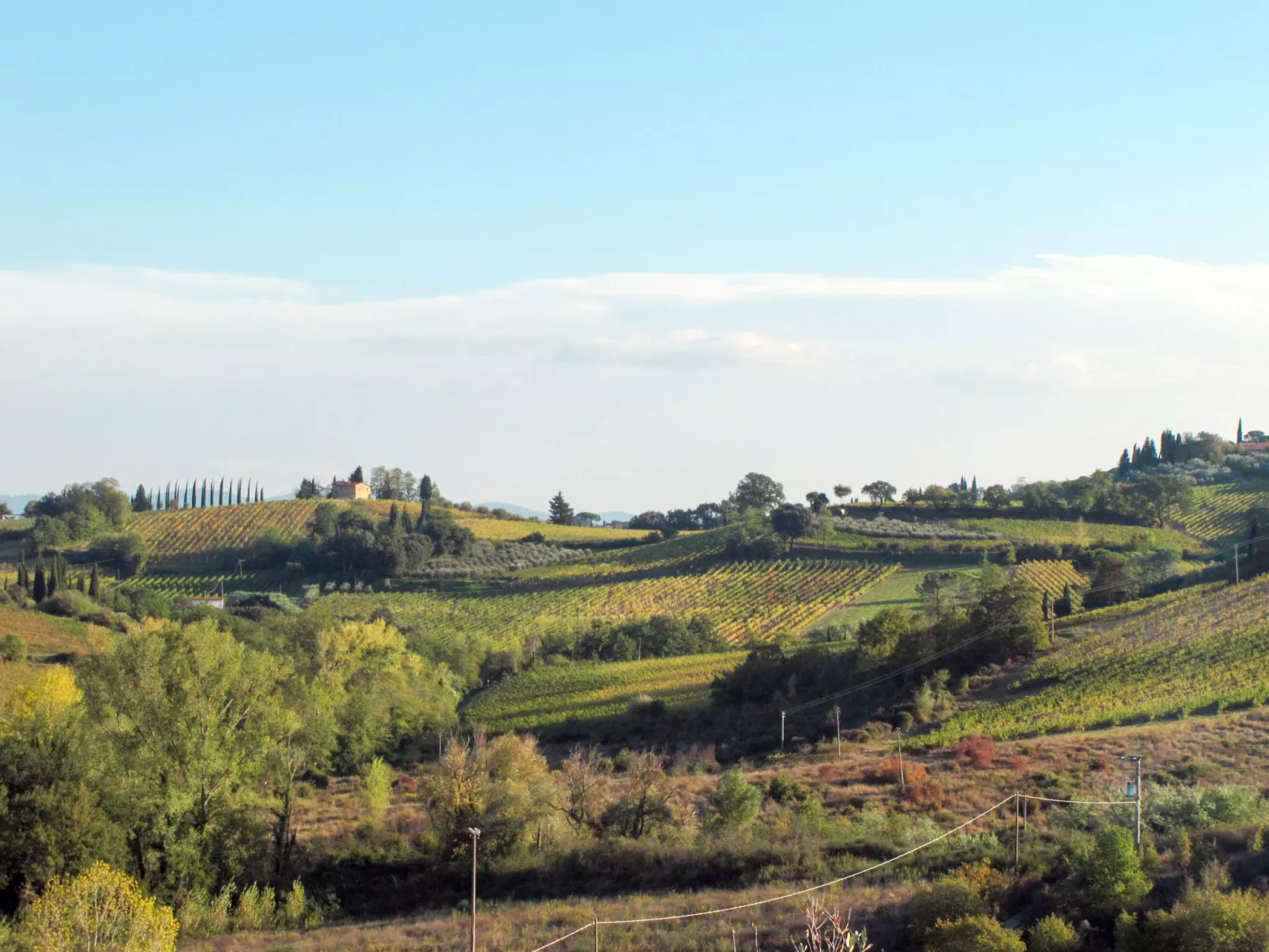 Giuggiolo - Giuggioli 1-Area