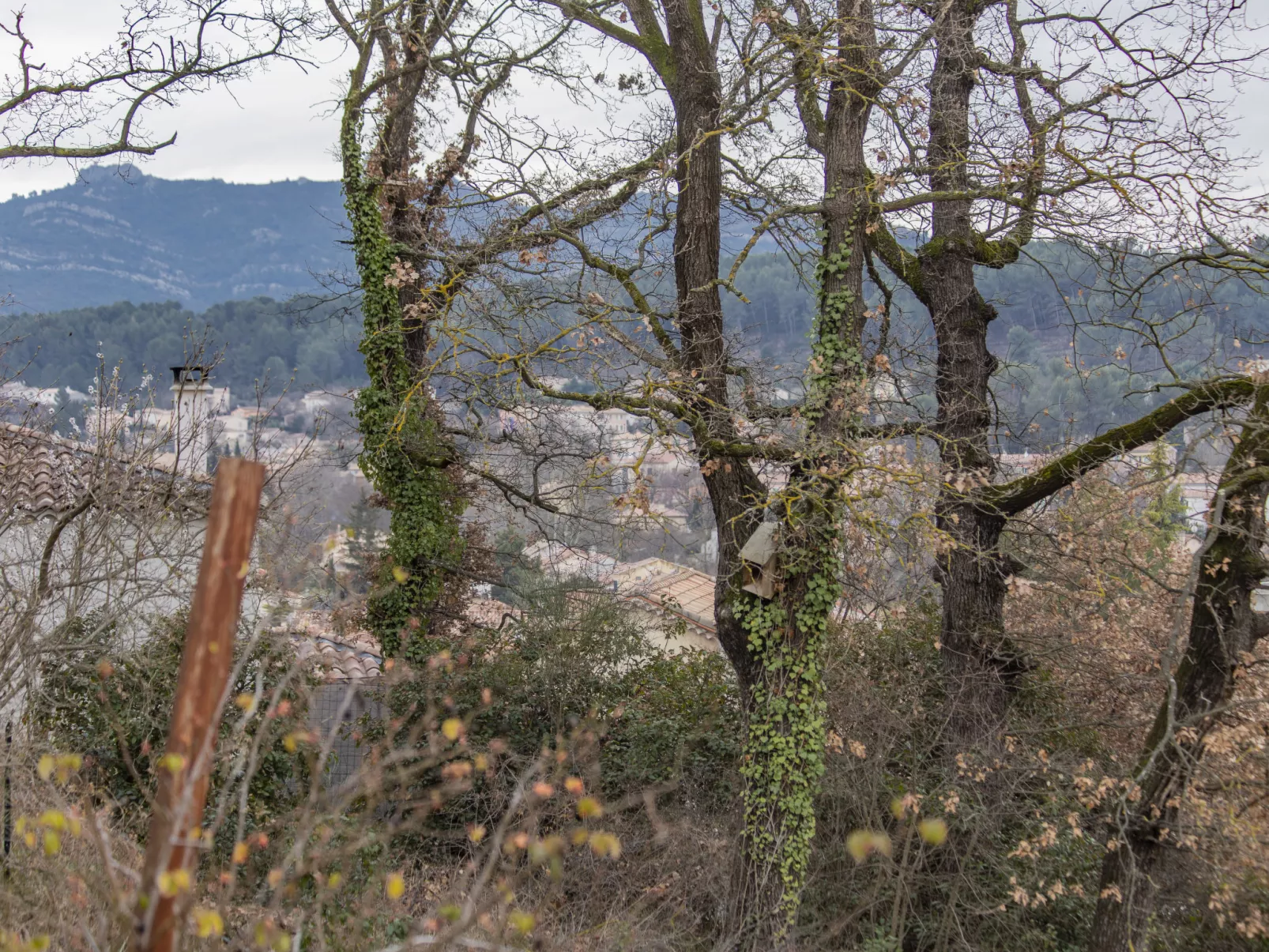Le petit Verdillon-Outside