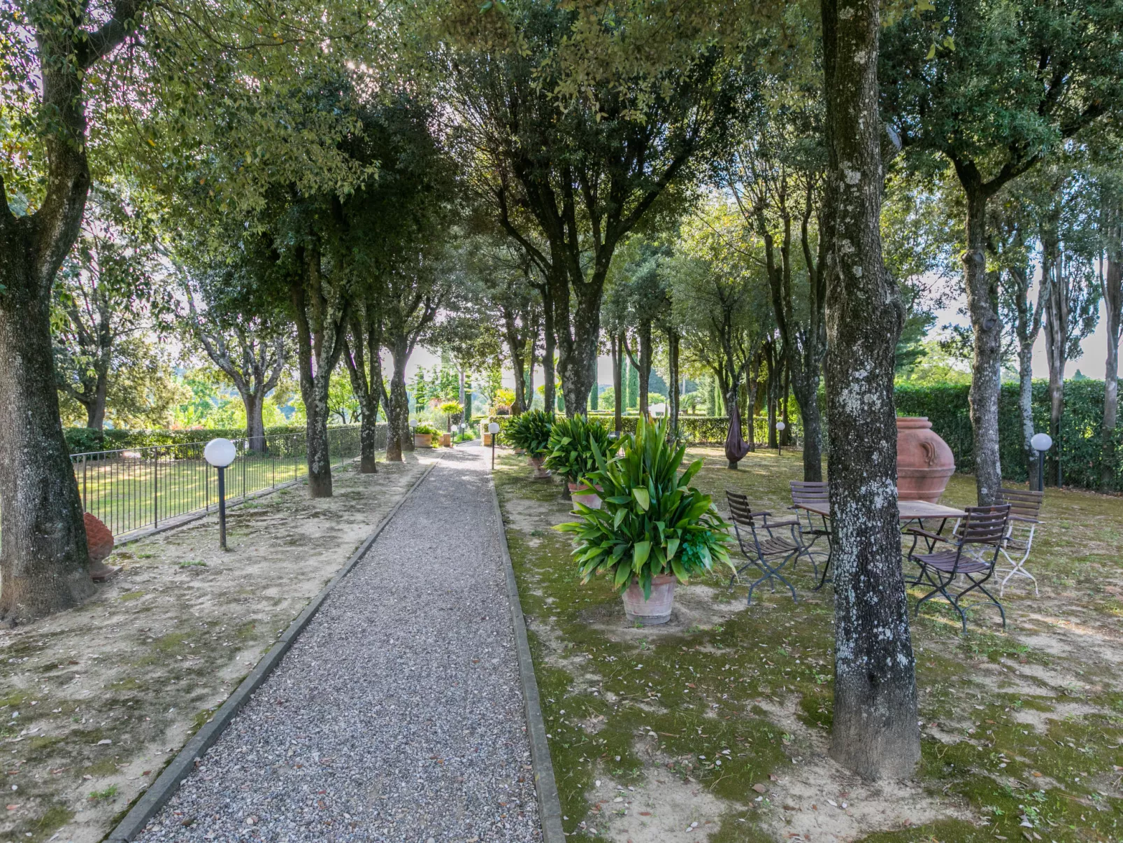 Giuggiolo - Giuggioli 1-Outside