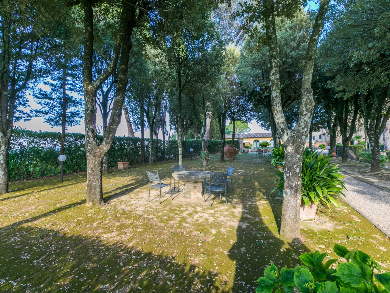 Giuggiolo - Giuggiolo 2-Outside