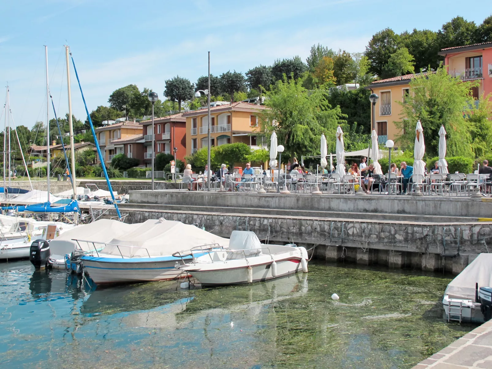 Fior di Sole-Area