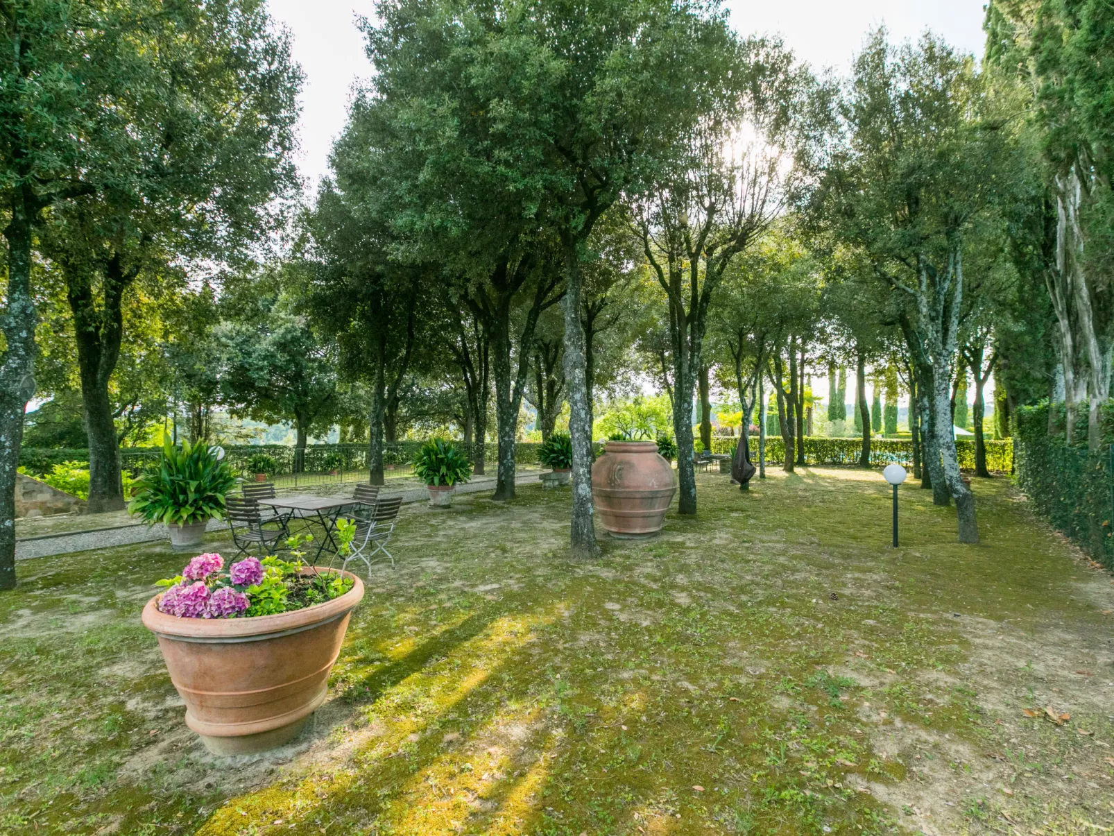 Giuggiolo - Giuggiolo 3-Outside