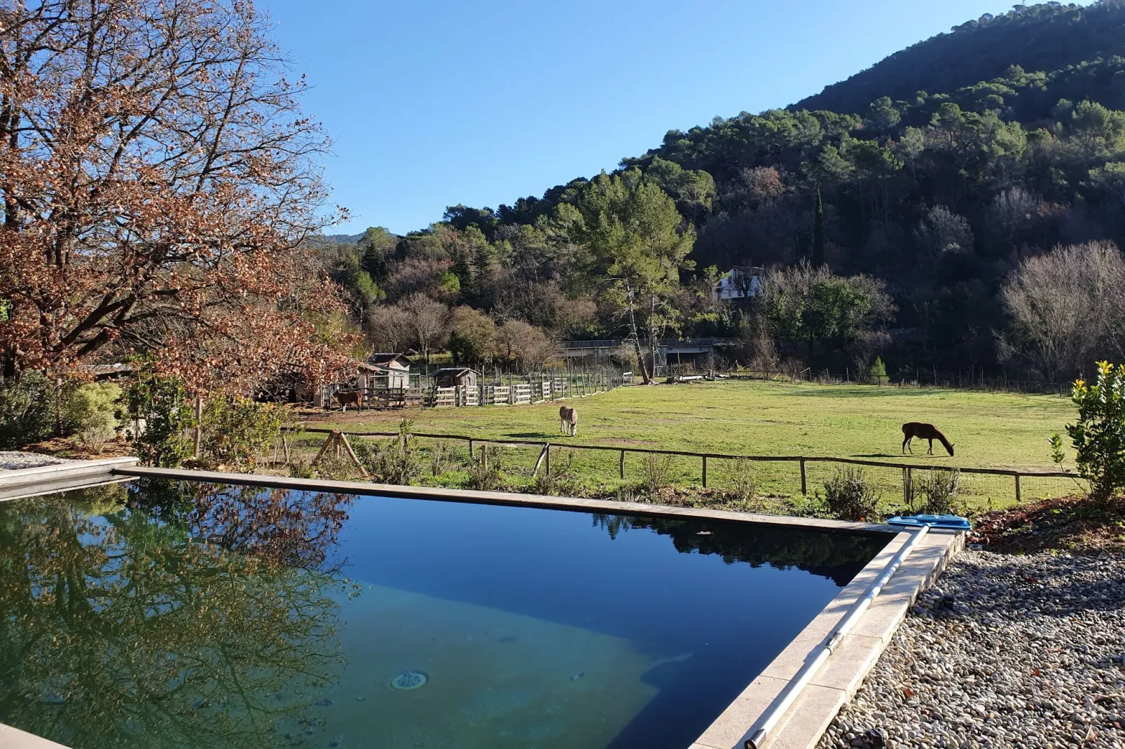 Villa Mopane-View summer
