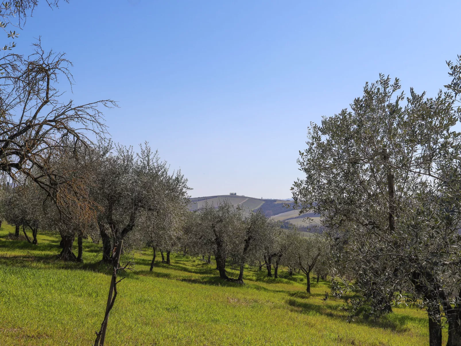 Podere San Raffaele - Cinzia-Draußen