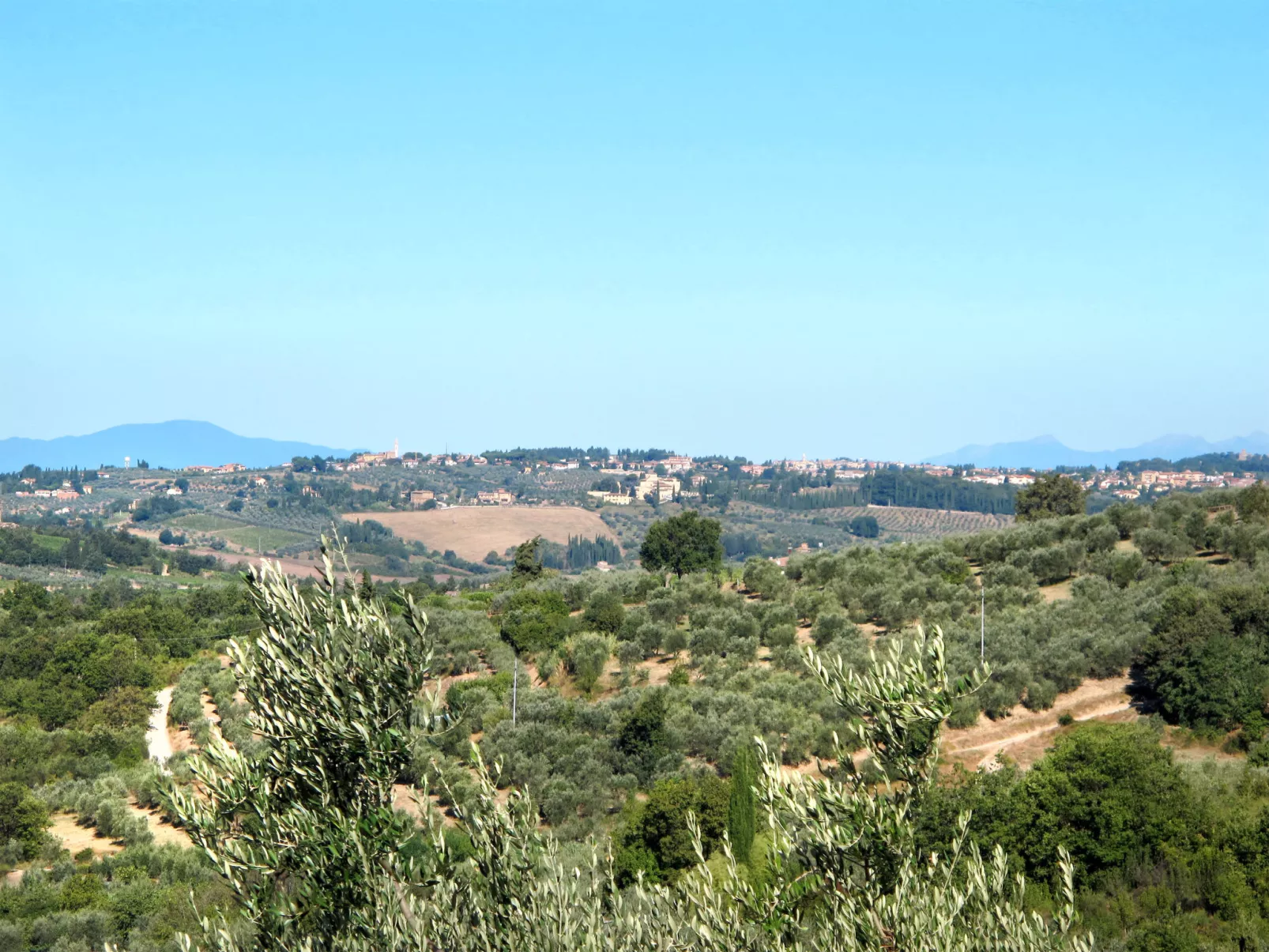 Campiglia-Area
