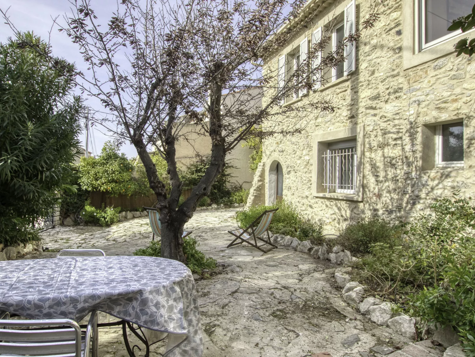 Mimosa-Outside