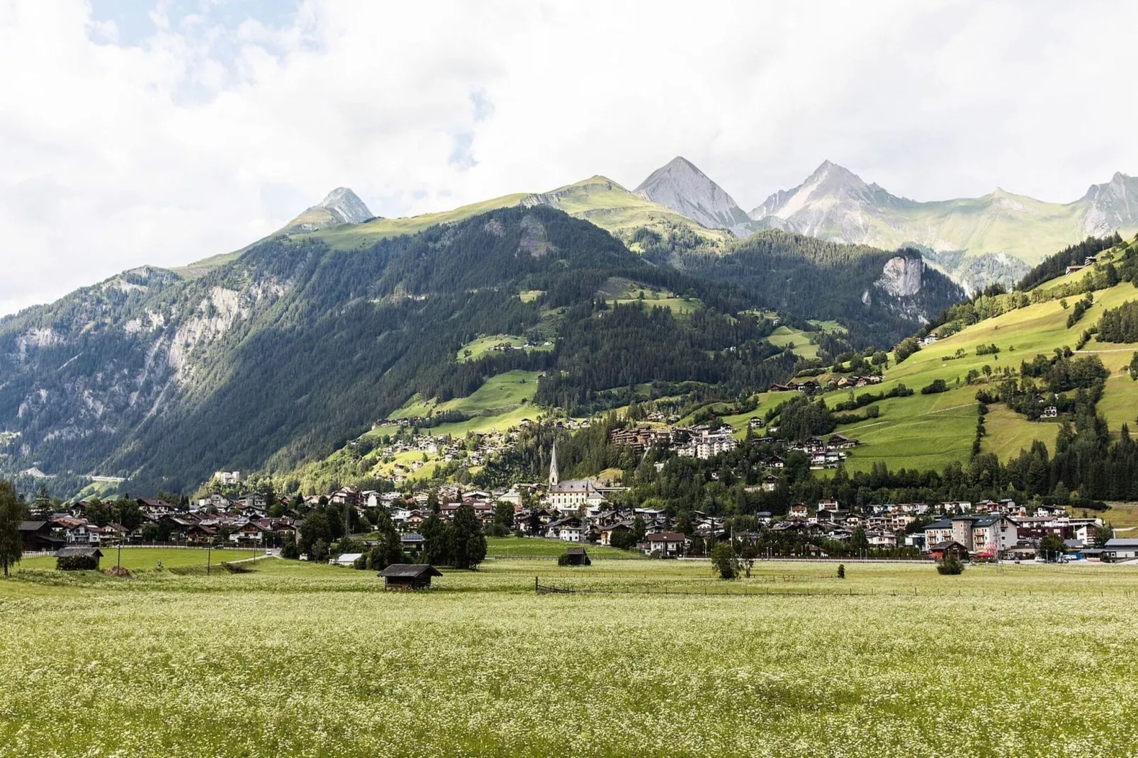 Apartment Alpine Superior-Areas summer 1km