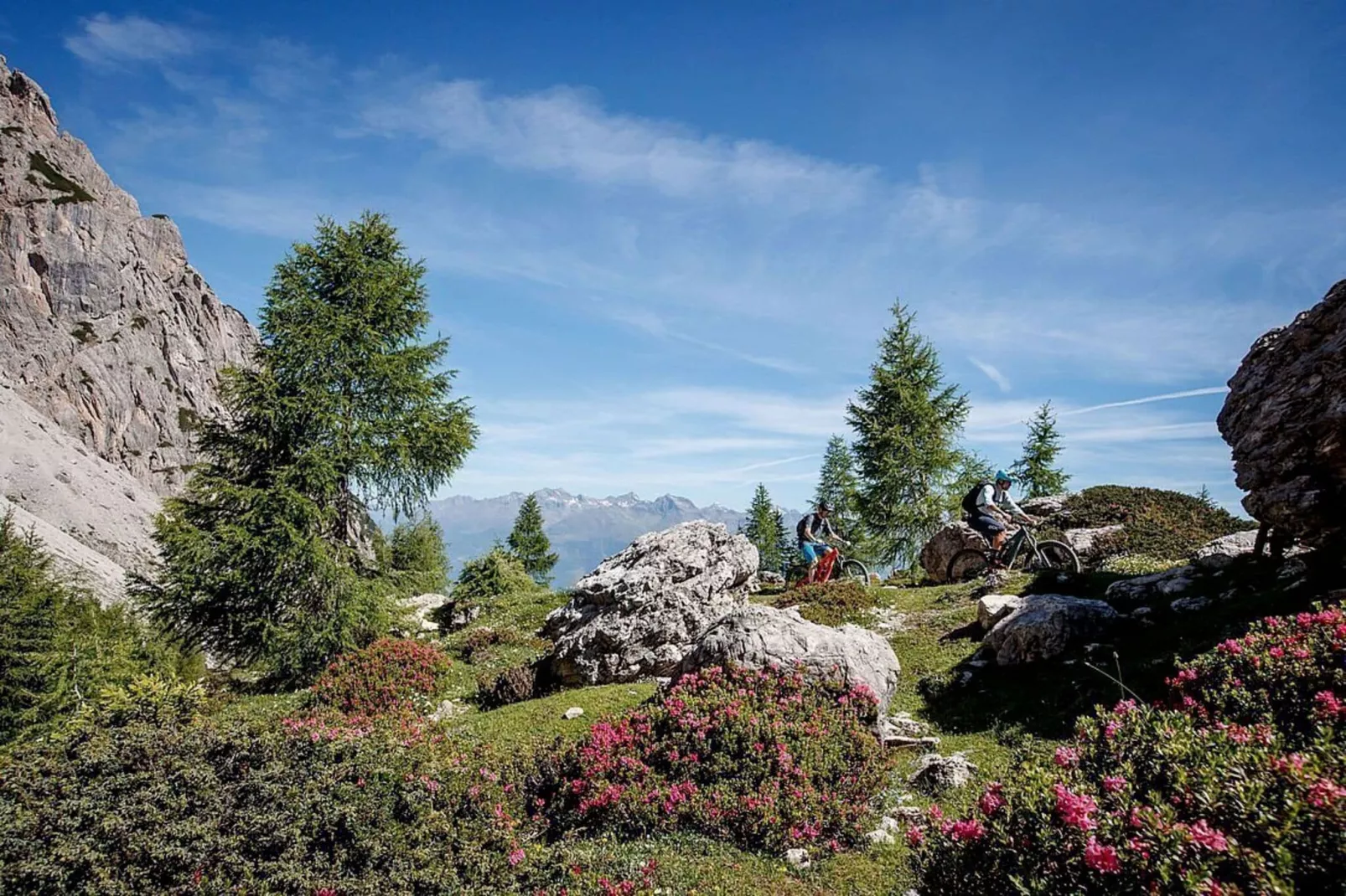 Apartment Alpine Superior-Areas summer 5km