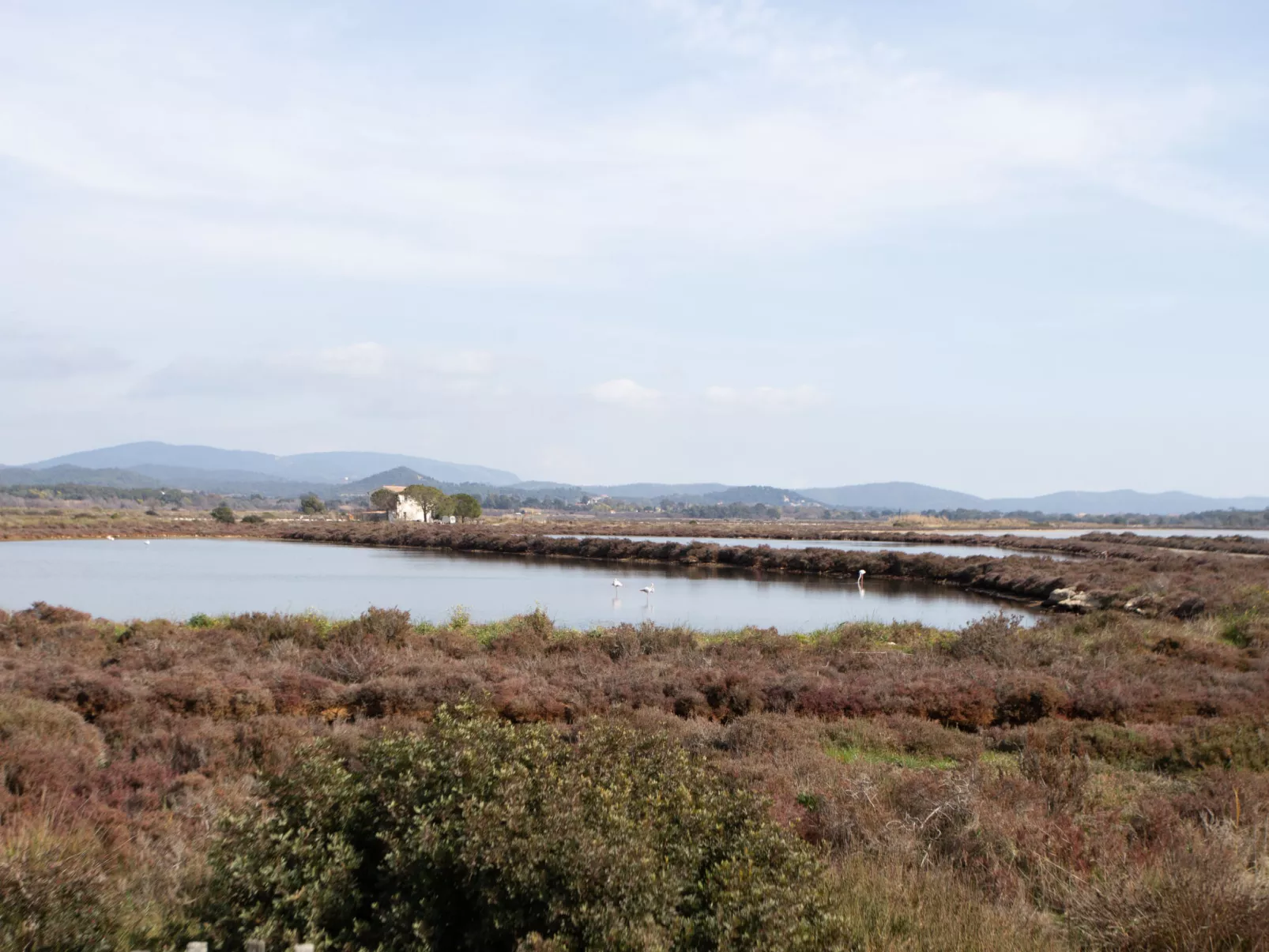 Port de la Gavine I-Area