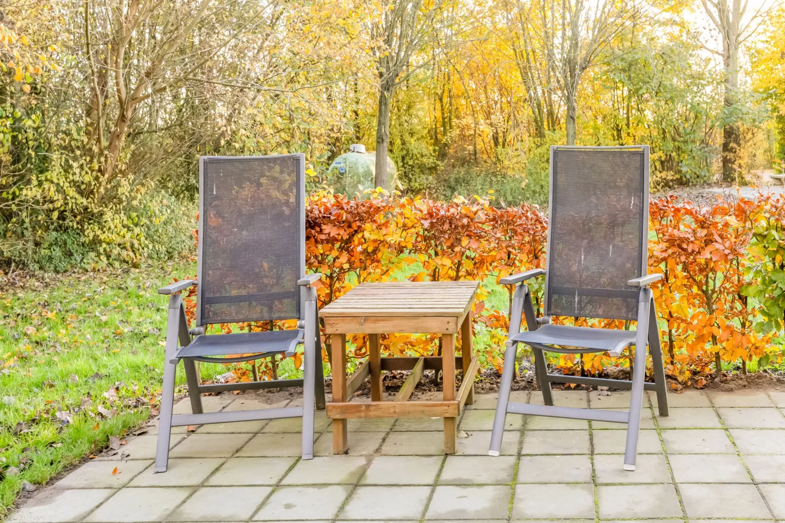 Vakantiehuisje 5 Aarde Groene Camping Lage Zwaluwe-Ambiente