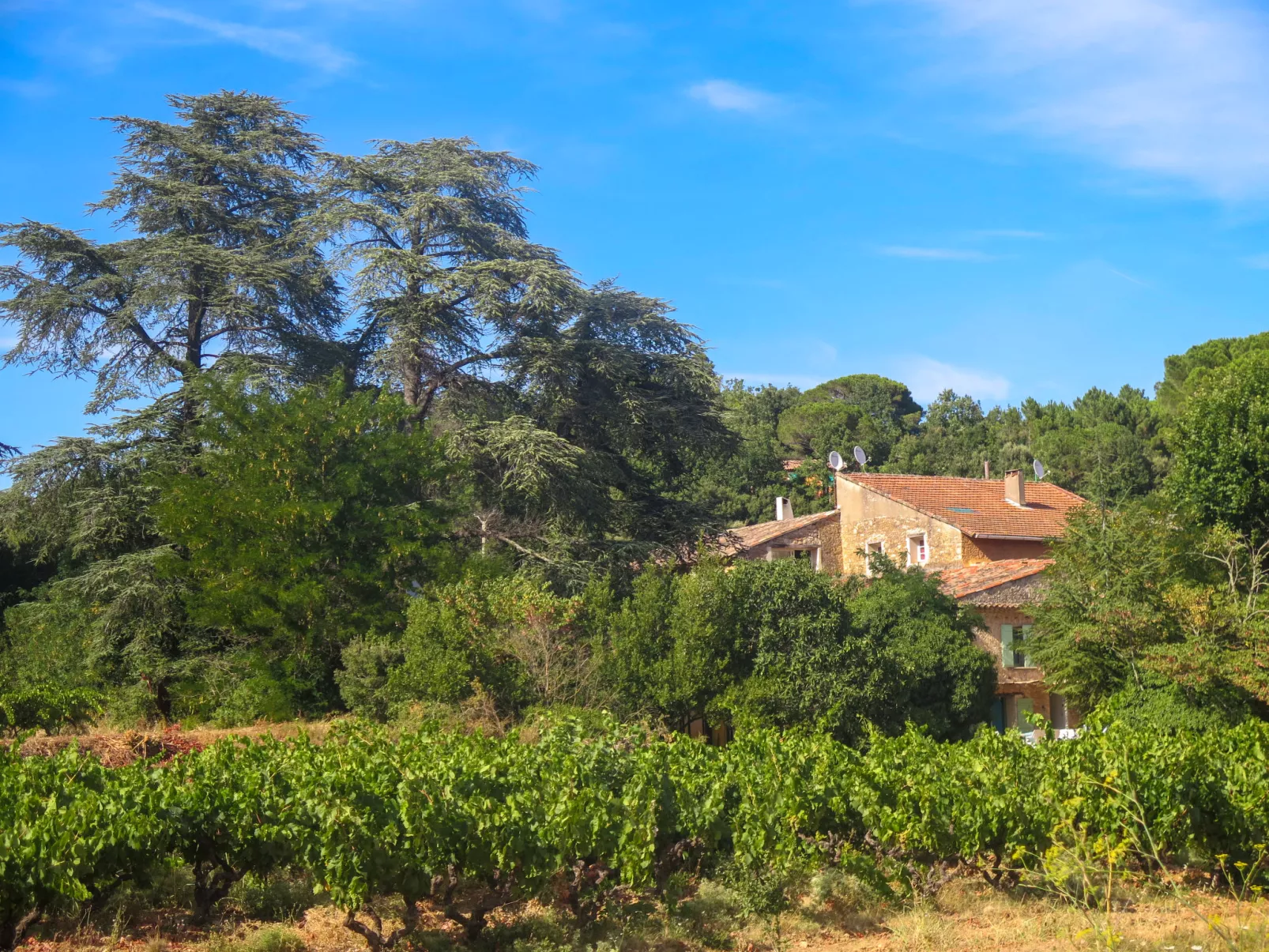 La Ferme-Outside