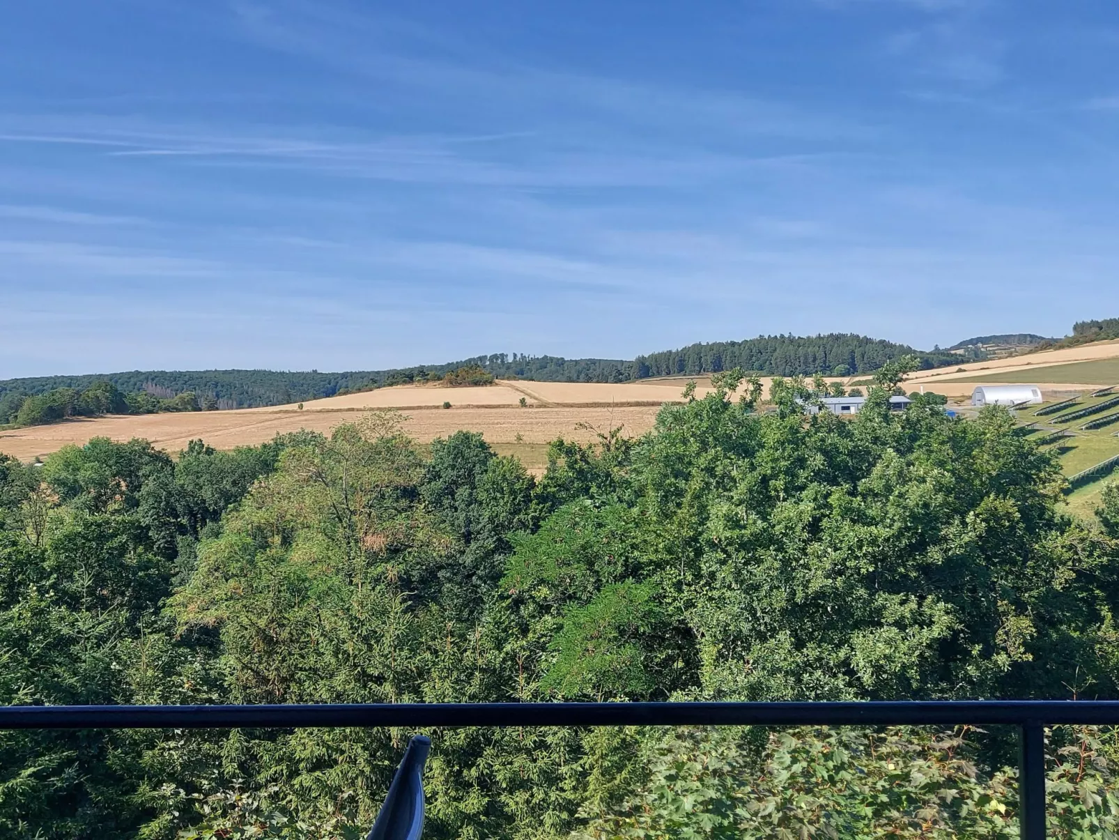 Alex-Draußen