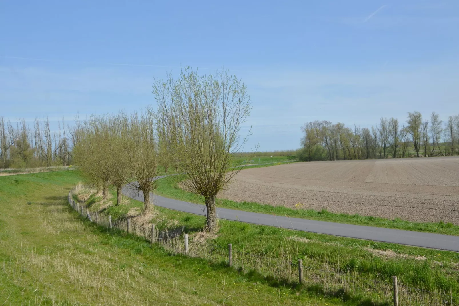 Het Biesbosch huisje-Gebiete Sommer 1 km