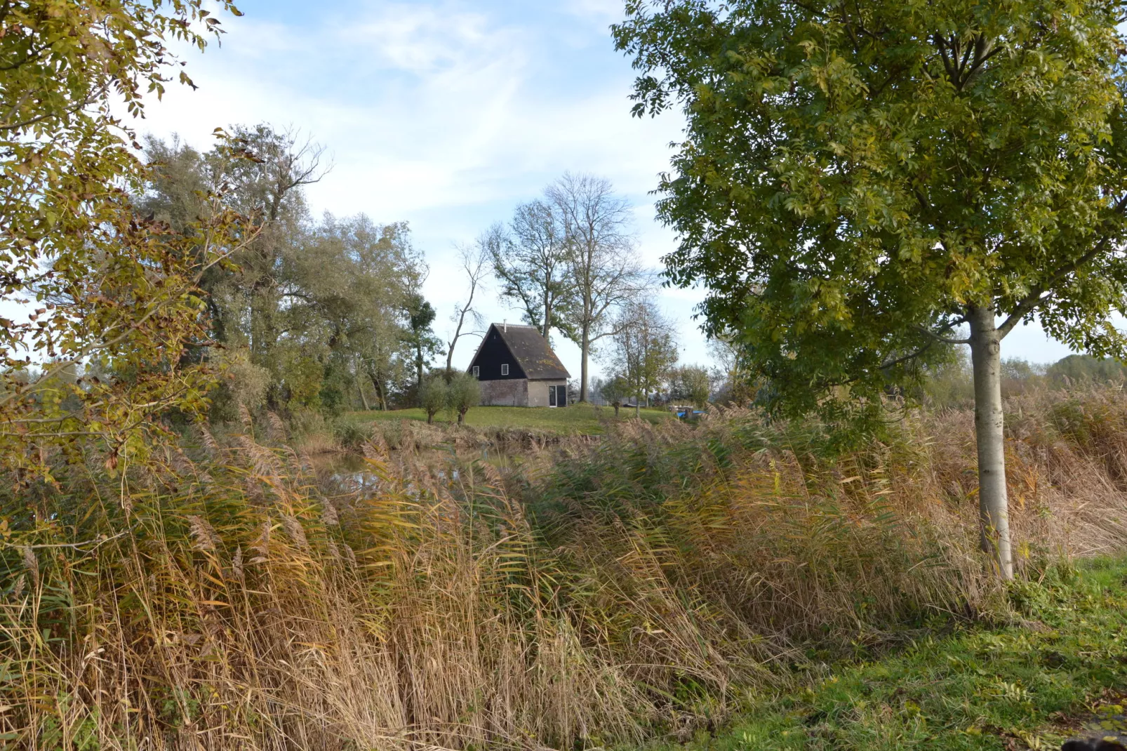 Het Biesbosch huisje-Gebiete Sommer 1 km