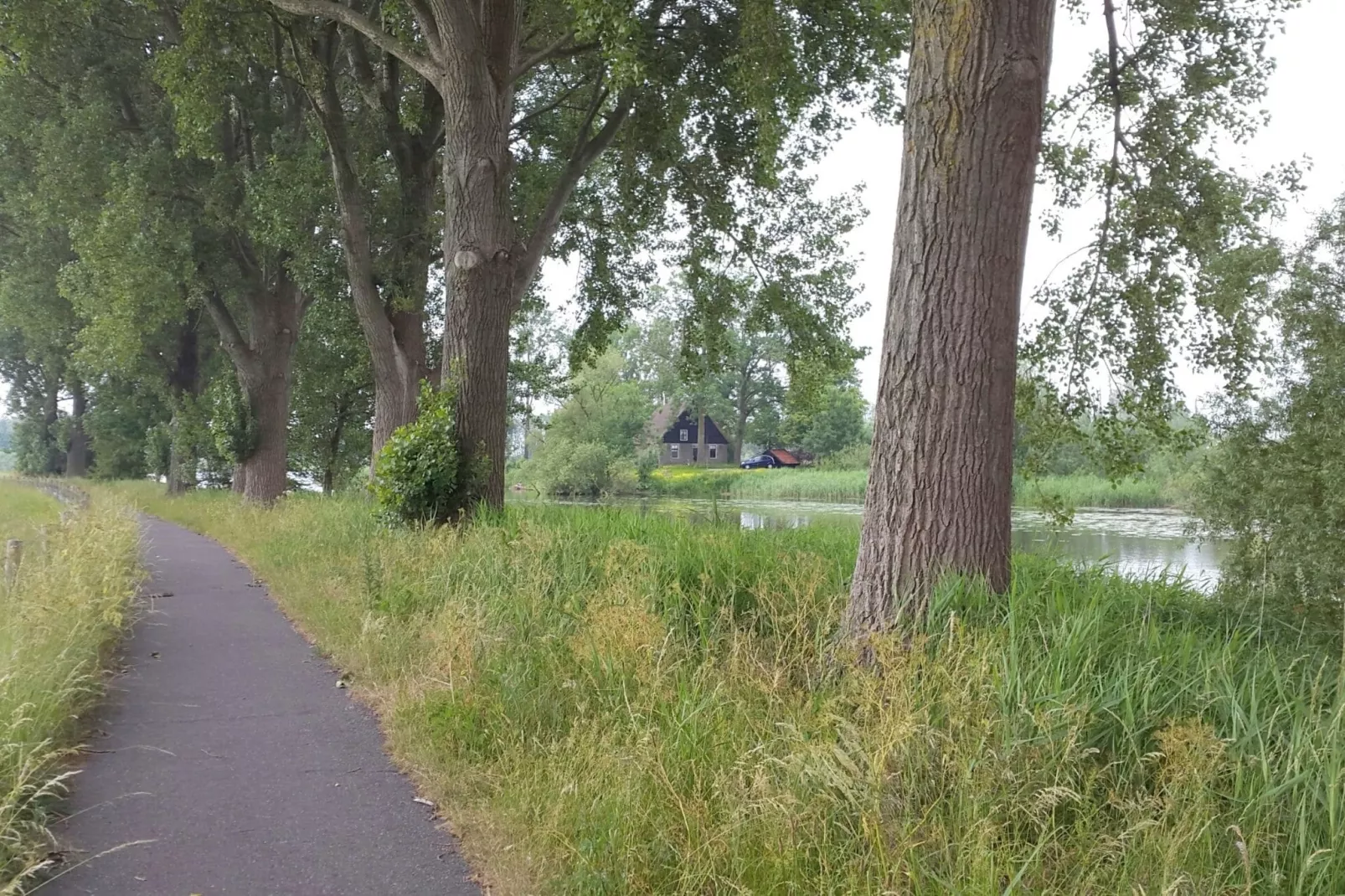 Het Biesbosch huisje-Gebiete Sommer 5 km