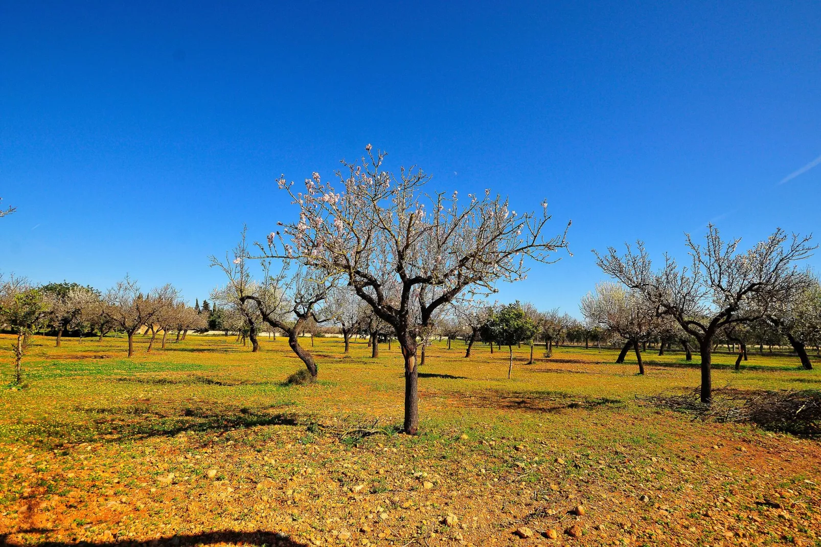 Casa Caleu-Areas summer 1km