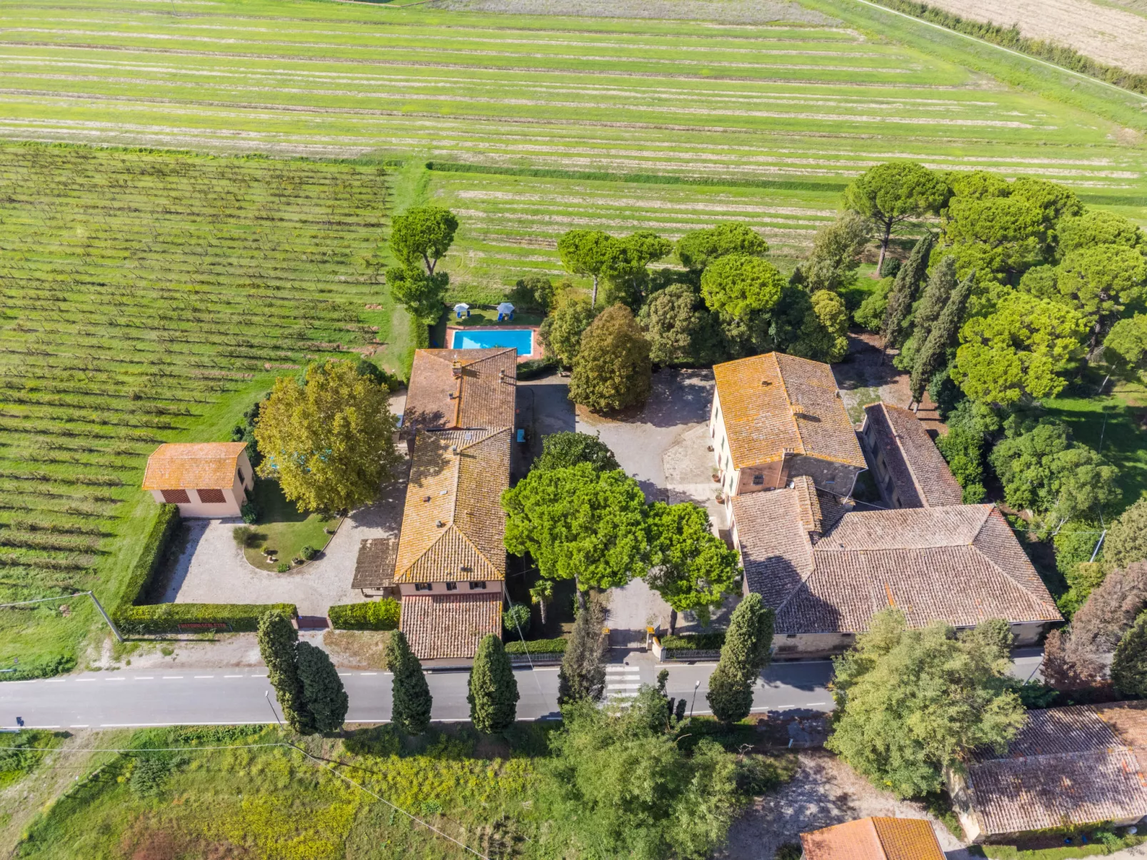 Fattoria di Scaletta-Draußen