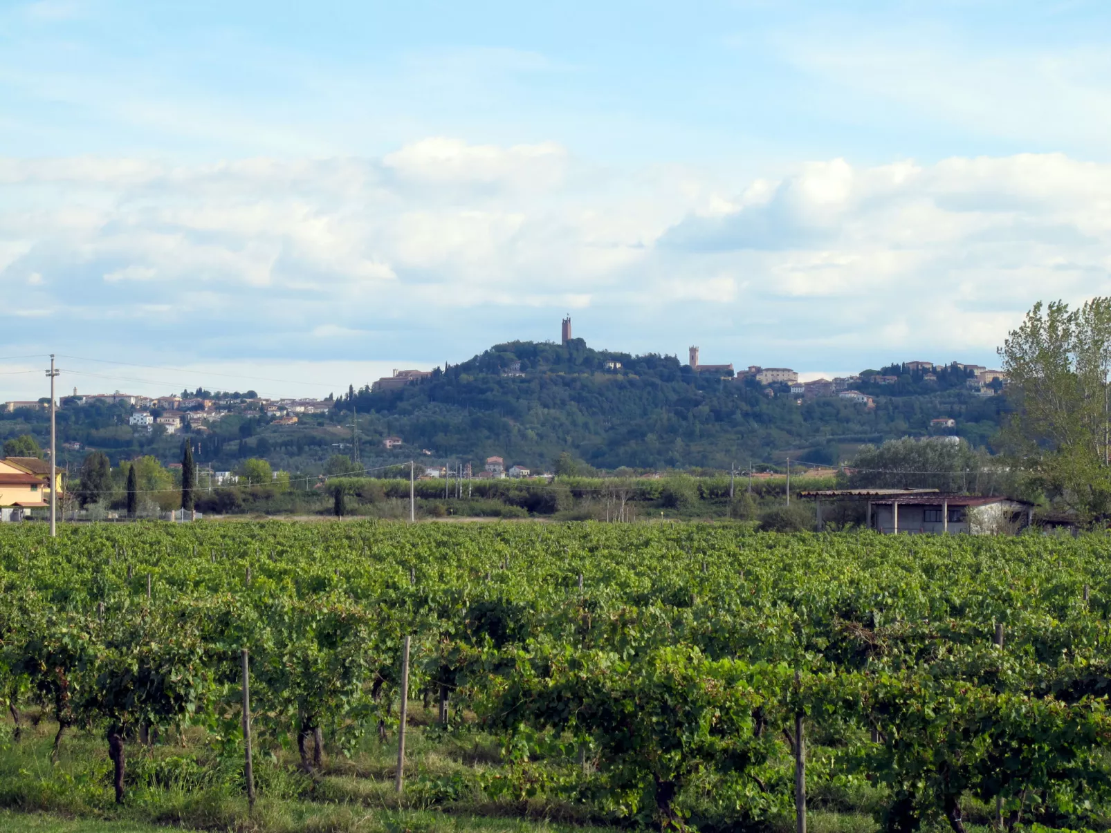Fattoria di Scaletta-Draußen