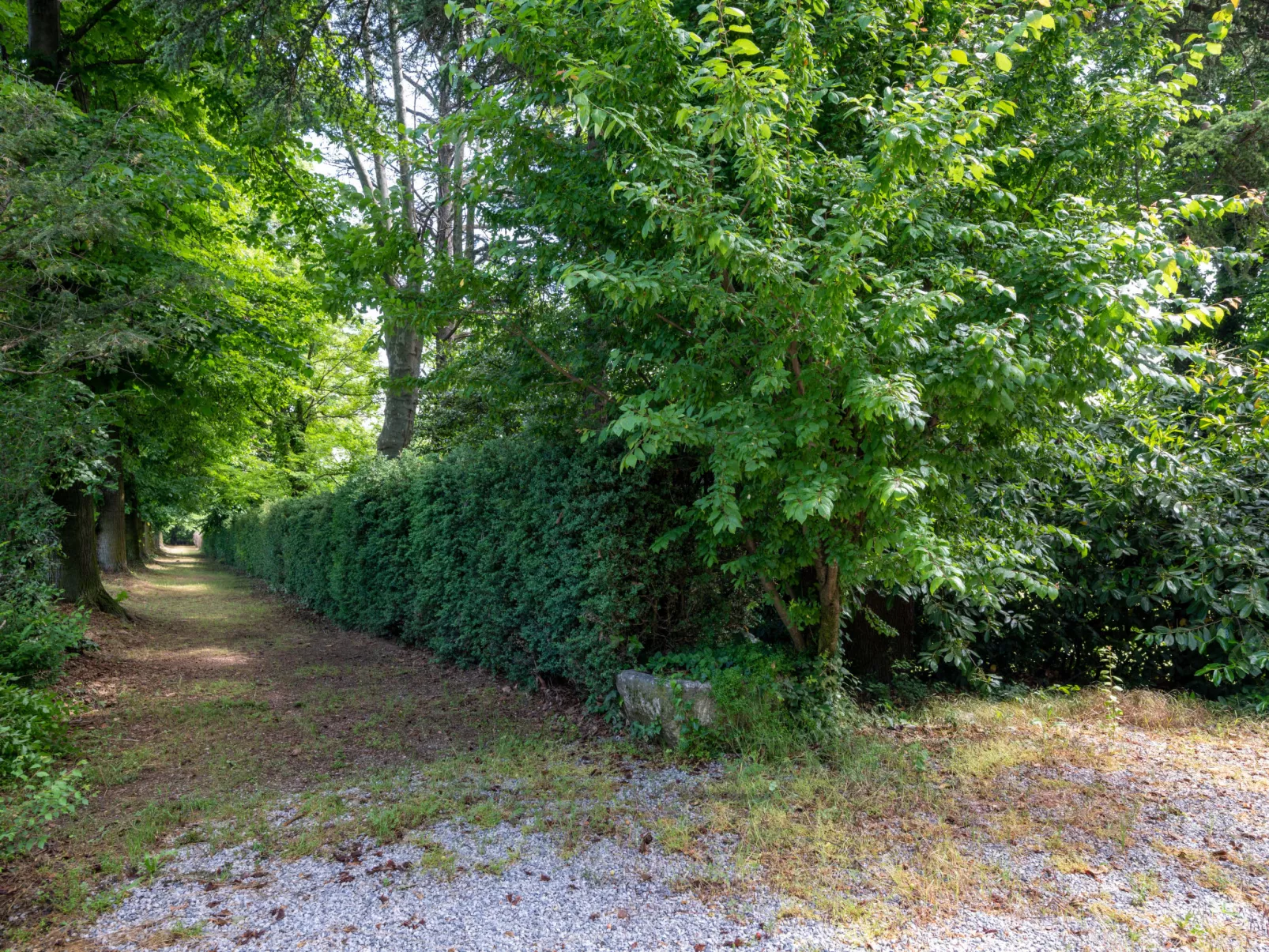 La Quercia-Outside